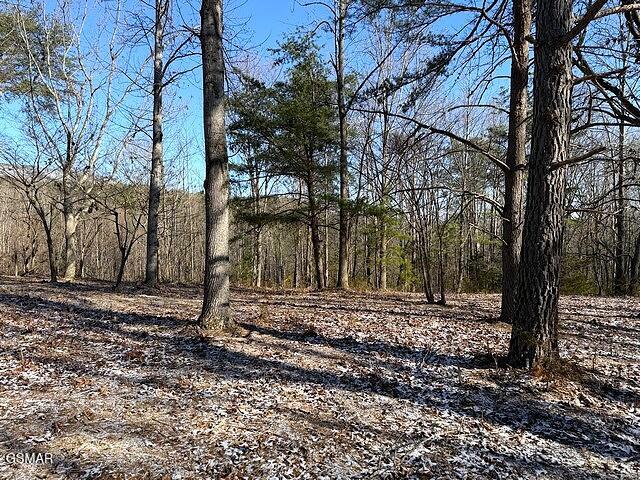Lot 15 Under The Sun Road Cosby TN 37722