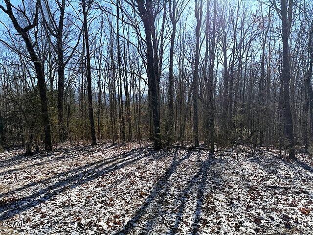 Lot 15 Under The Sun Road Cosby TN 37722