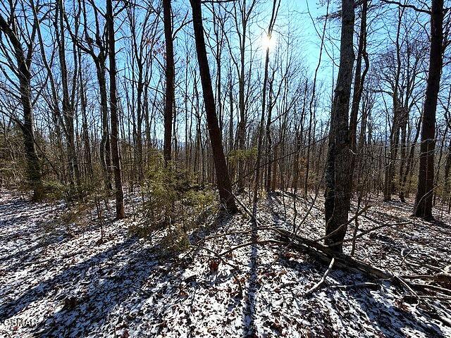 Lot 15 Under The Sun Road Cosby TN 37722