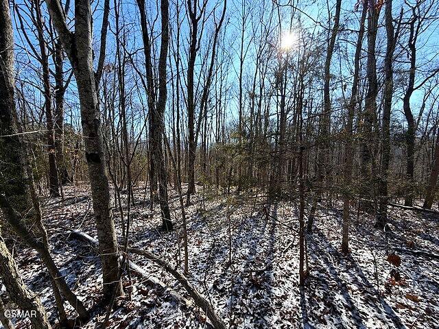 Lot 15 Under The Sun Road Cosby TN 37722