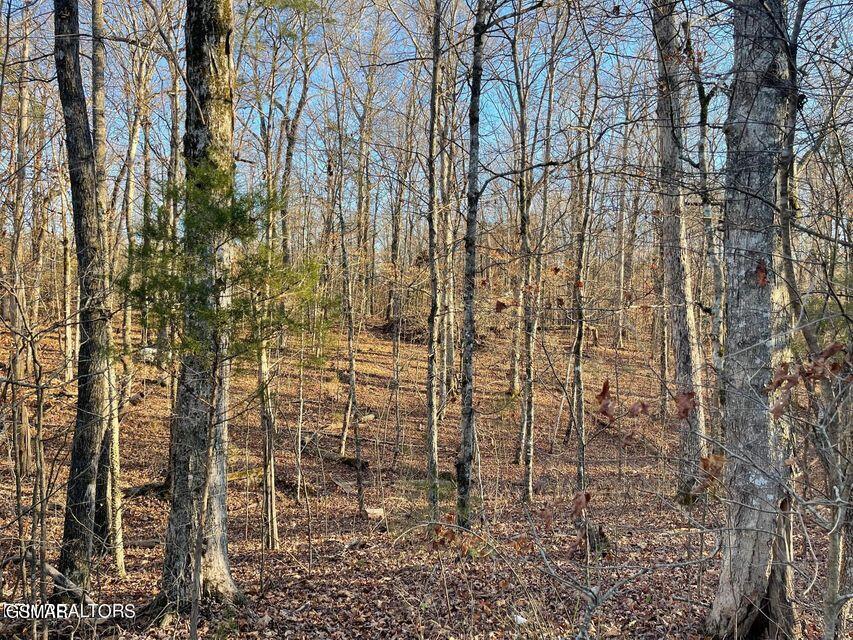 0 E Governor John Sevier Highway Highway Knoxville TN 37920