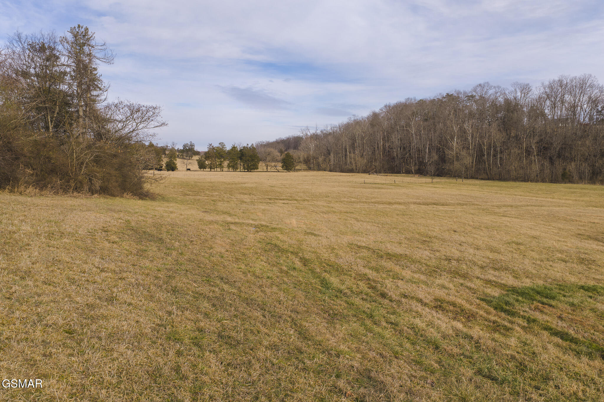 0 Cherry Street Rutledge TN 37861