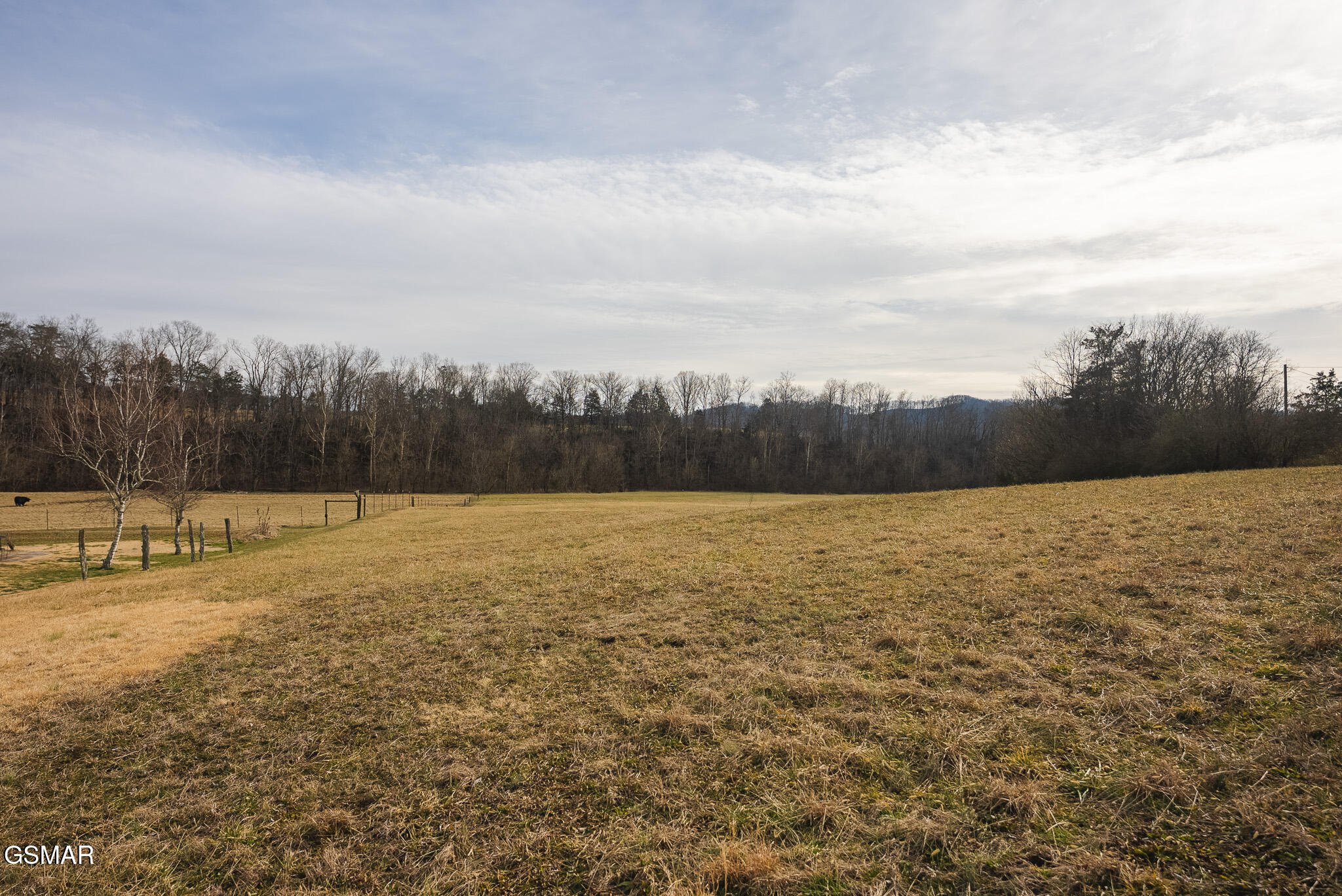 0 Cherry Street Rutledge TN 37861