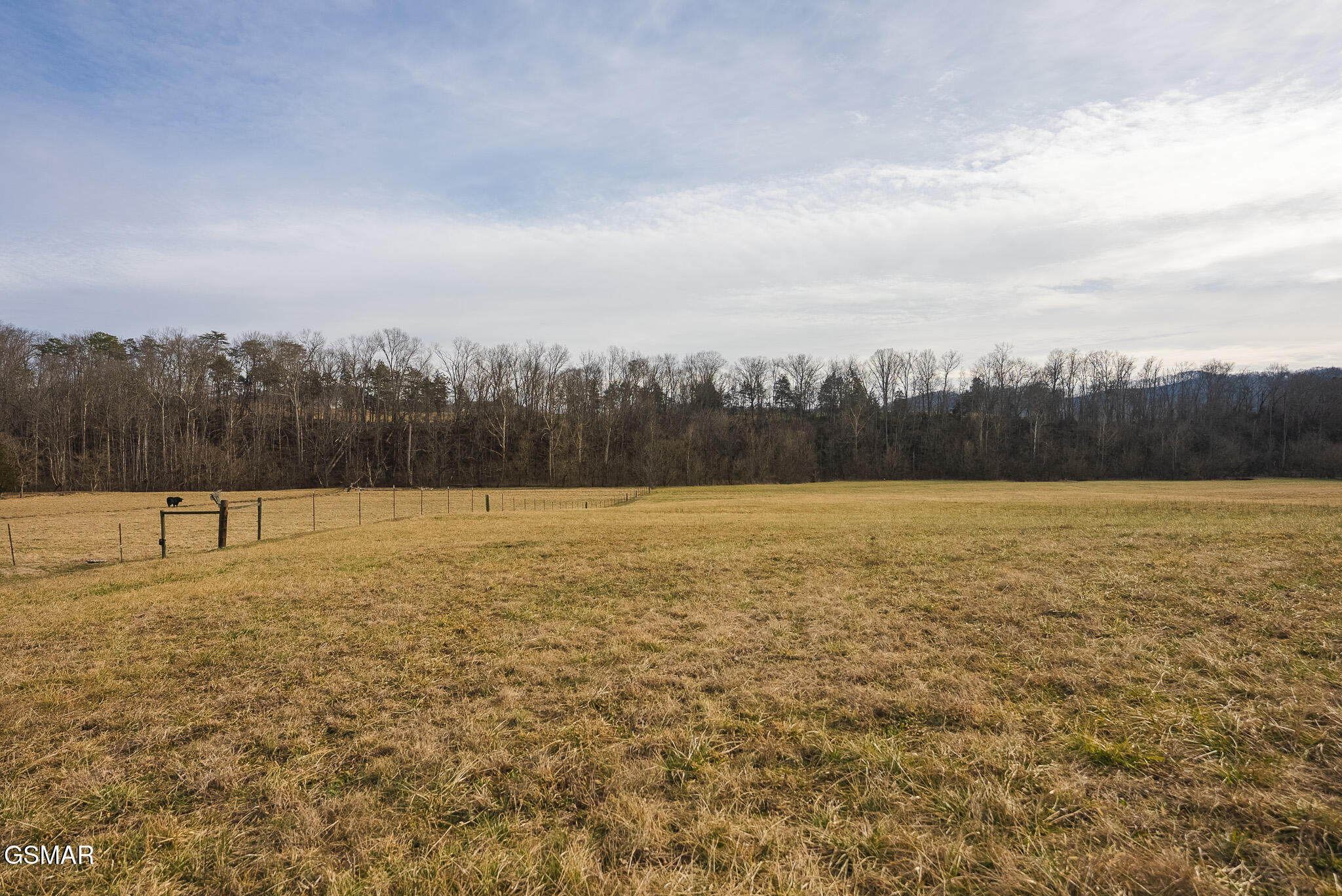 0 Cherry Street Rutledge TN 37861