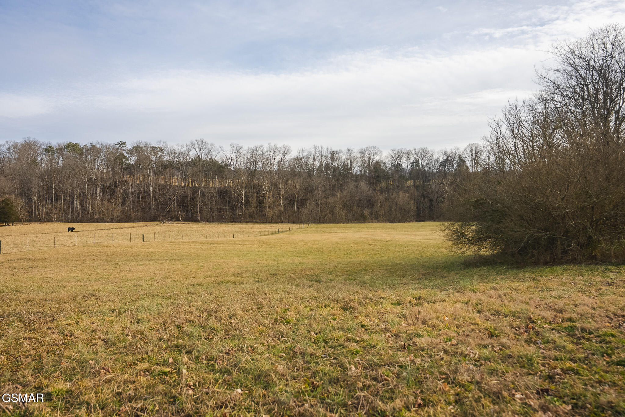 0 Cherry Street Rutledge TN 37861