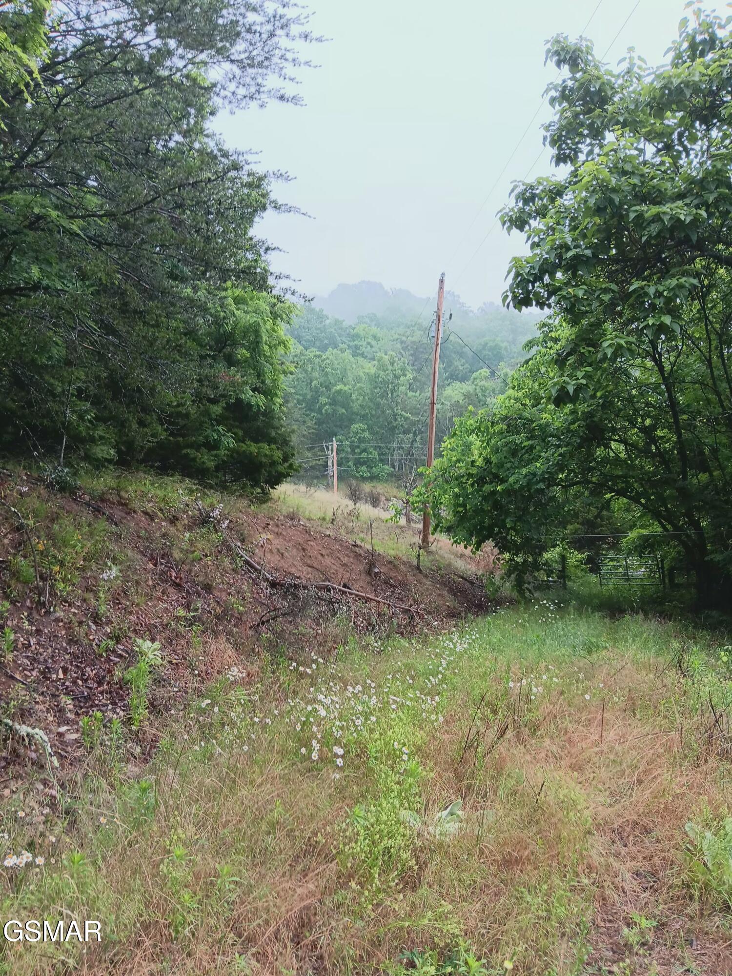 Tbd Highway 31 Mooresburg TN 37811