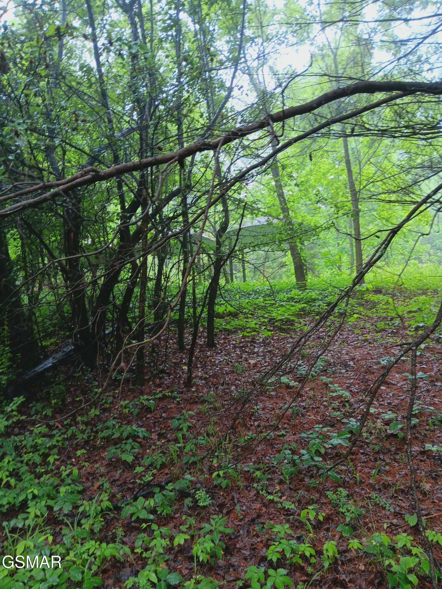 Tbd Highway 31 Mooresburg TN 37811
