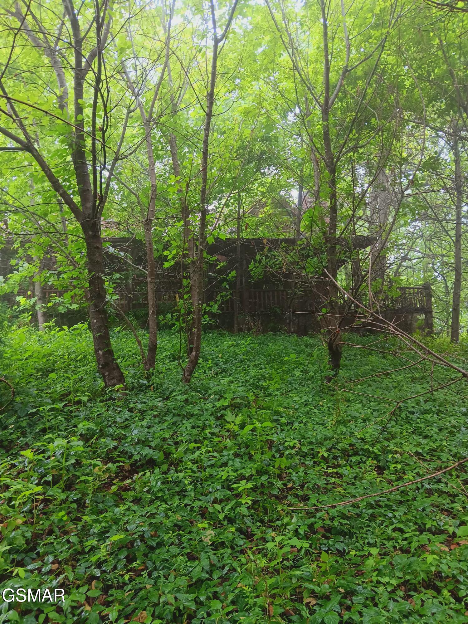 Tbd Highway 31 Mooresburg TN 37811