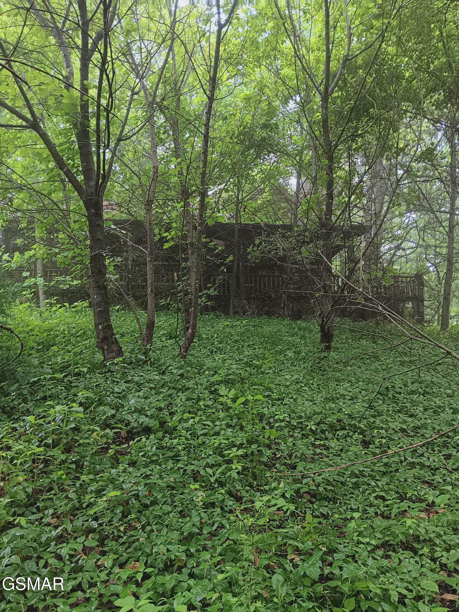 Tbd Highway 31 Mooresburg TN 37811