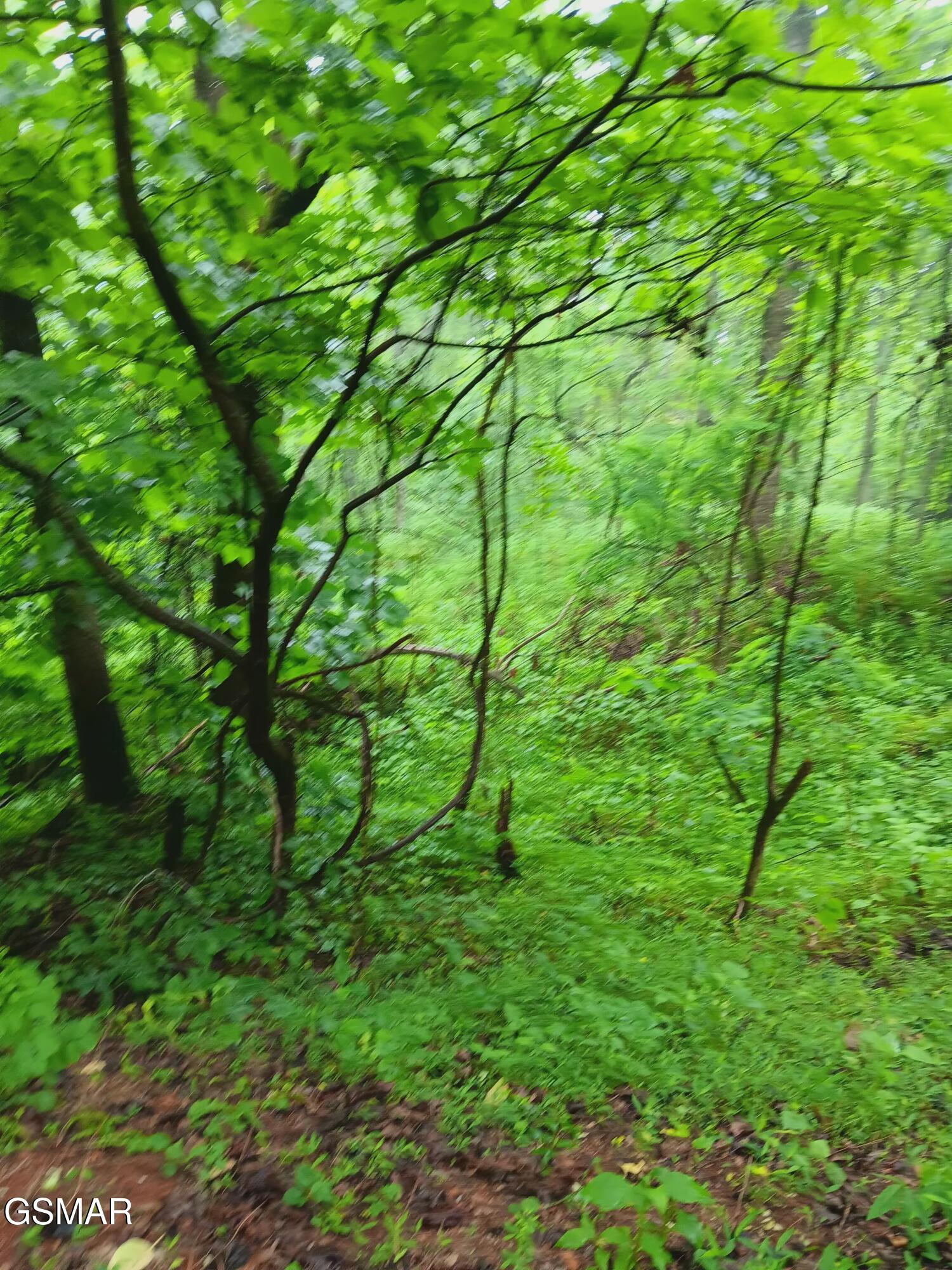 Tbd Highway 31 Mooresburg TN 37811