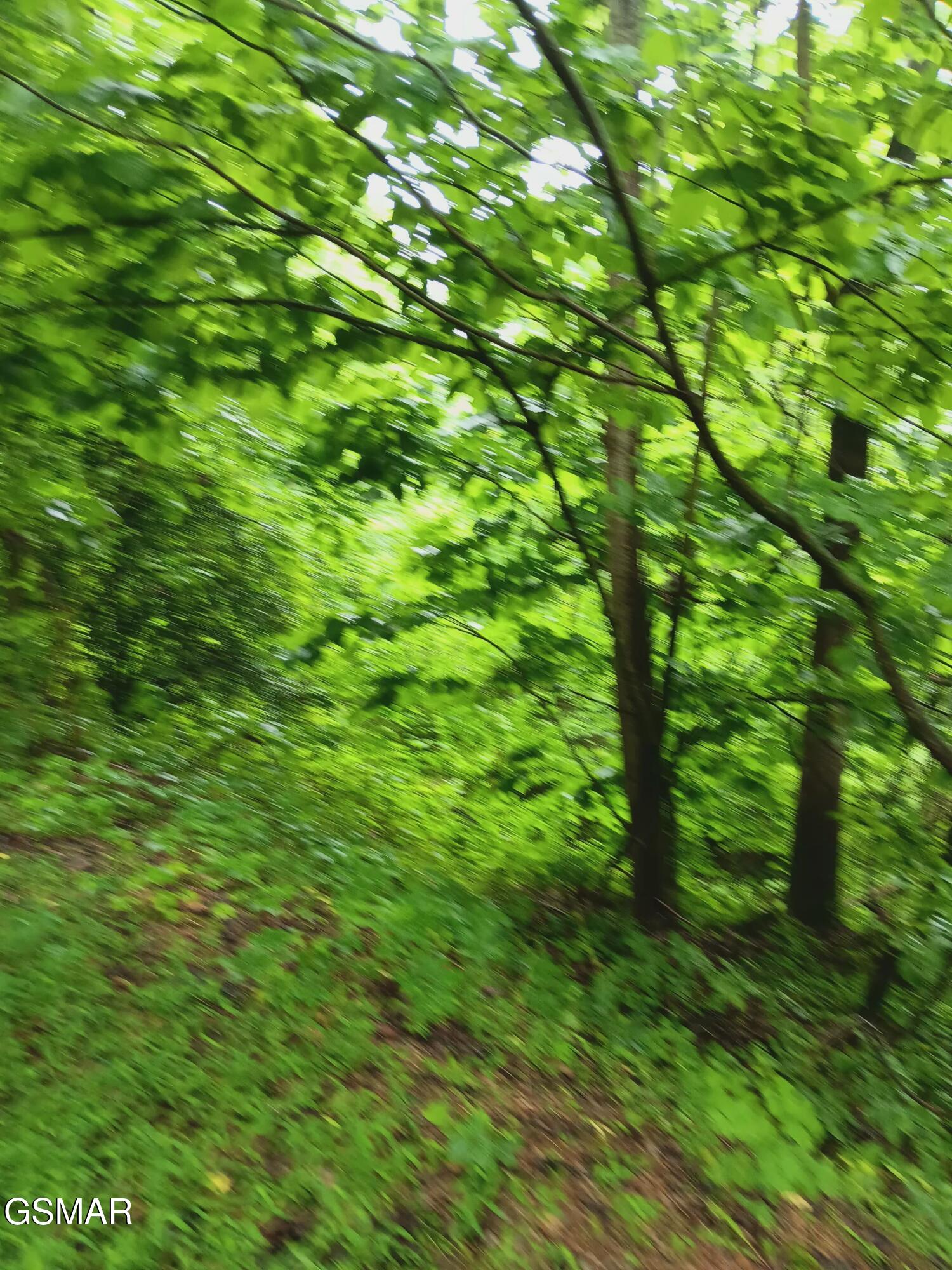 Tbd Highway 31 Mooresburg TN 37811