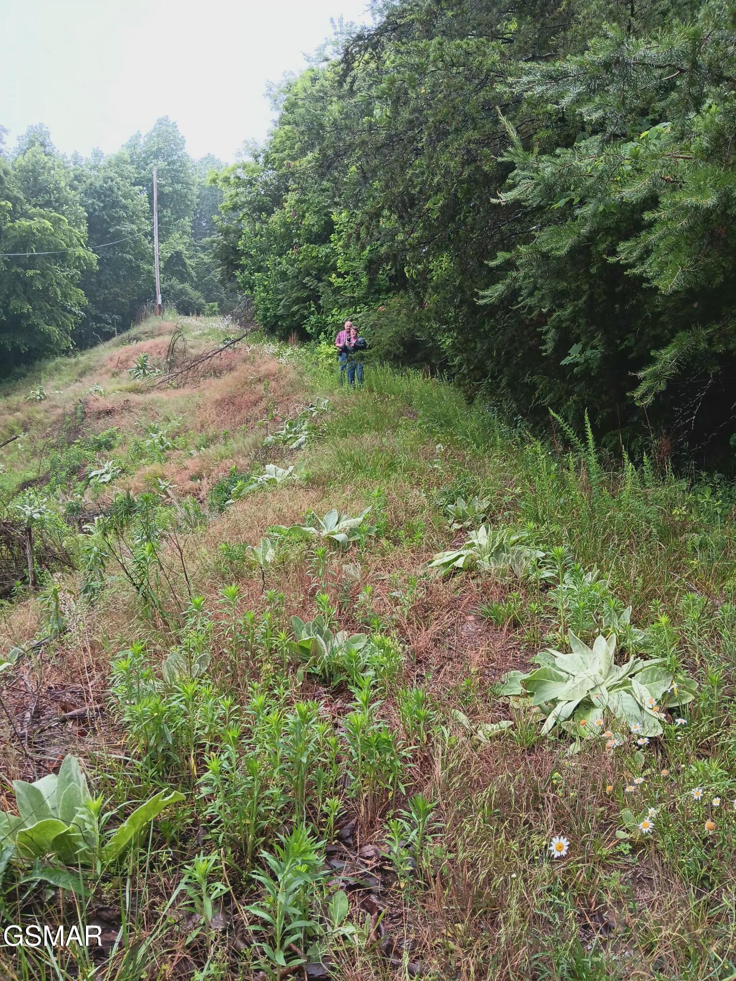 Tbd Highway 31 Mooresburg TN 37811