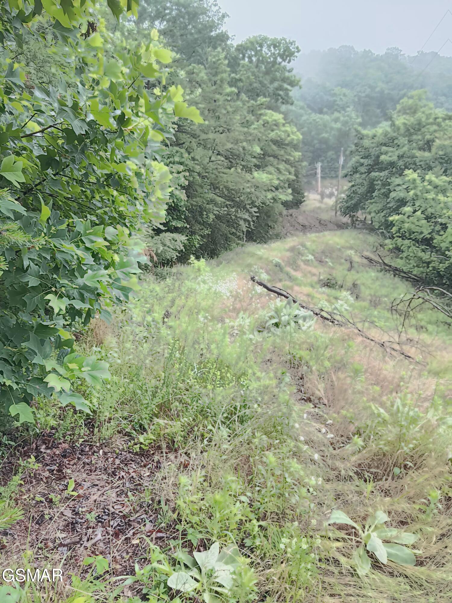 Tbd Highway 31 Mooresburg TN 37811
