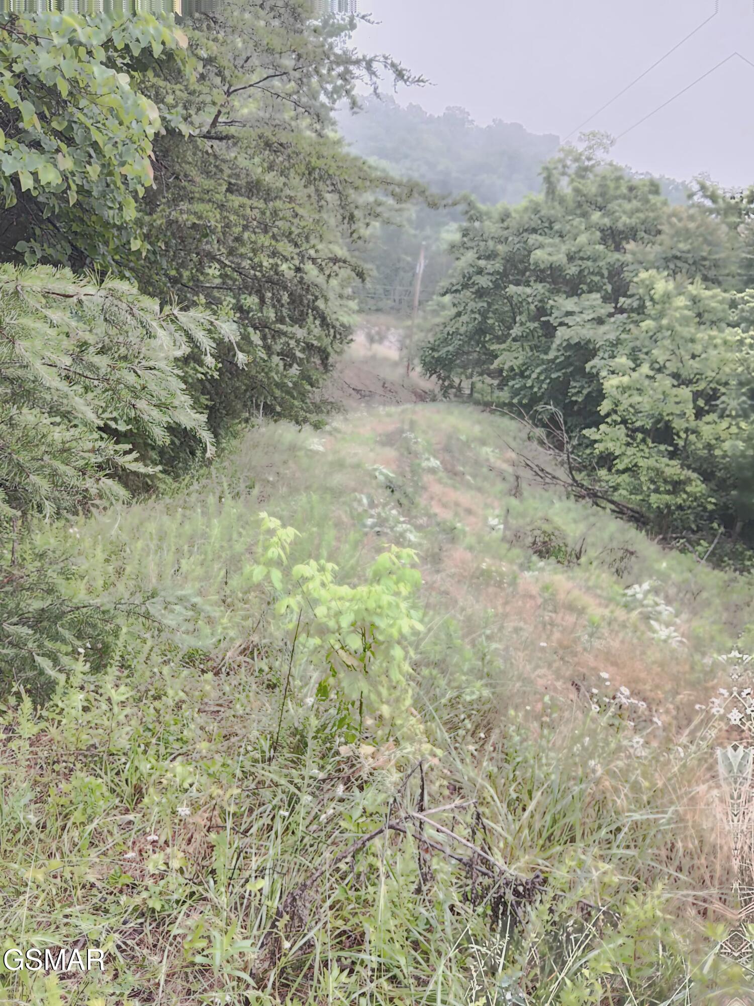 Tbd Highway 31 Mooresburg TN 37811