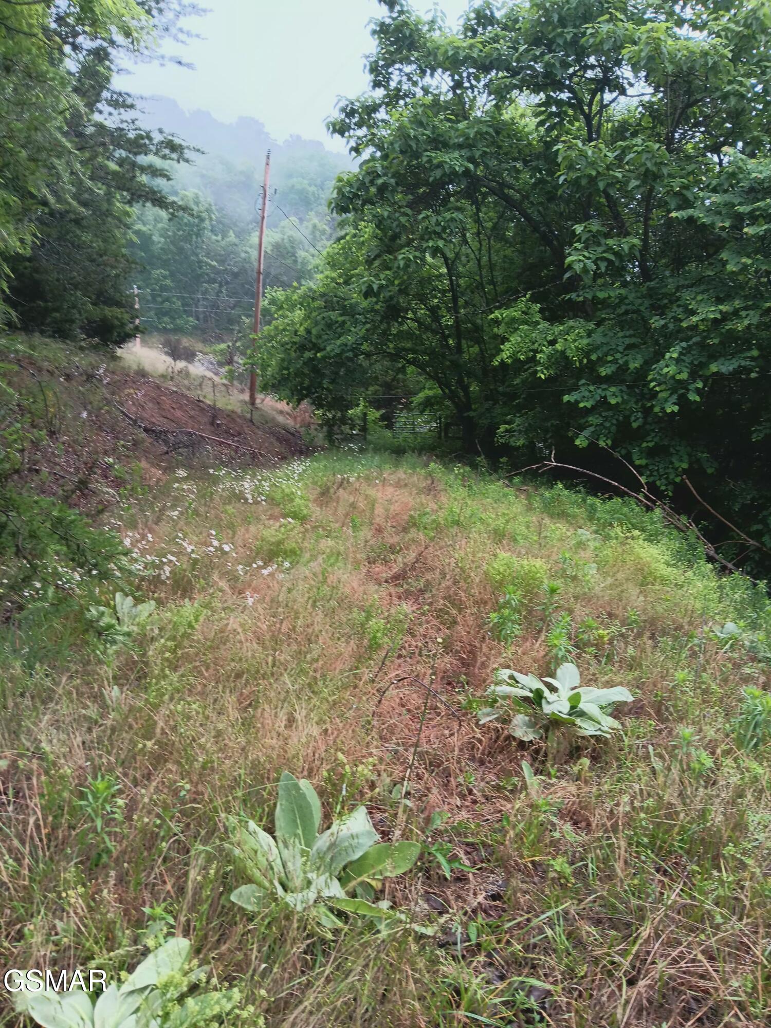 Tbd Highway 31 Mooresburg TN 37811