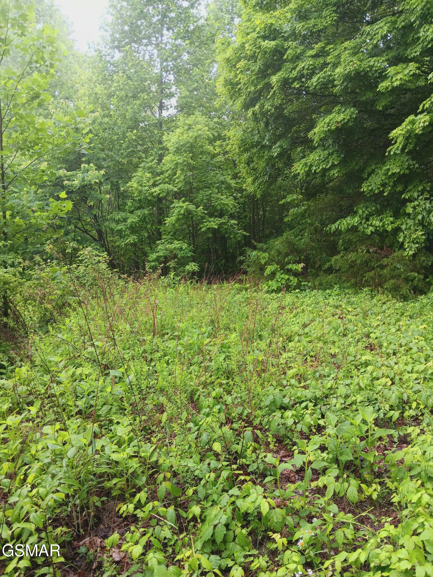 Tbd Highway 31 Mooresburg TN 37811
