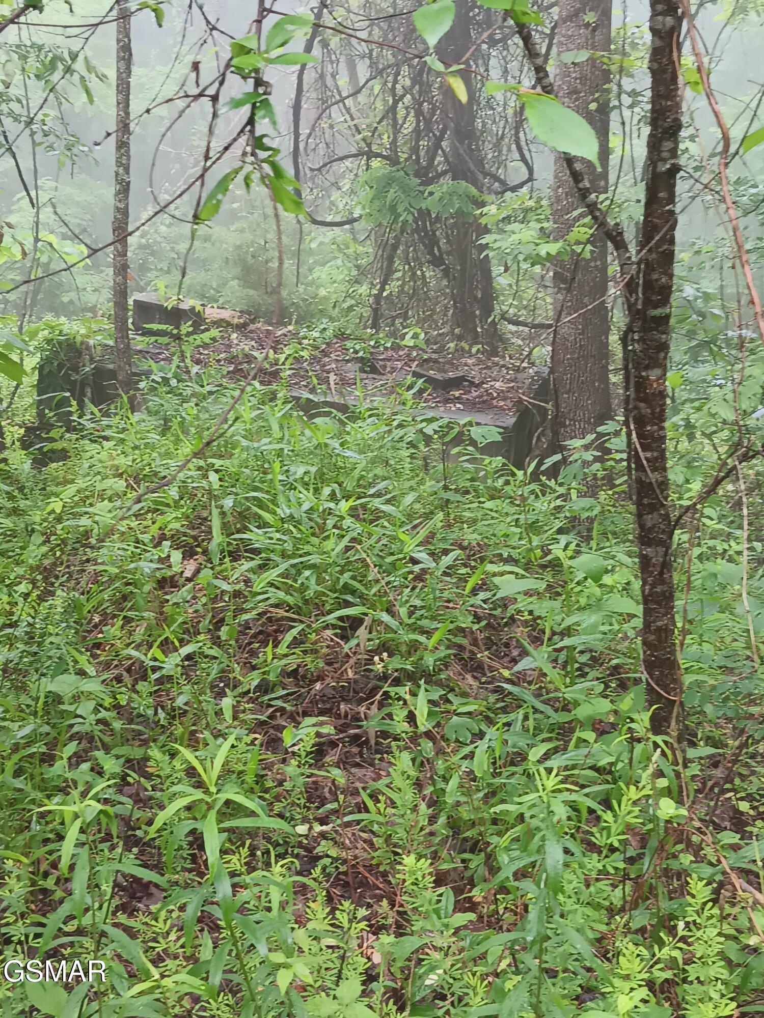Tbd Highway 31 Mooresburg TN 37811