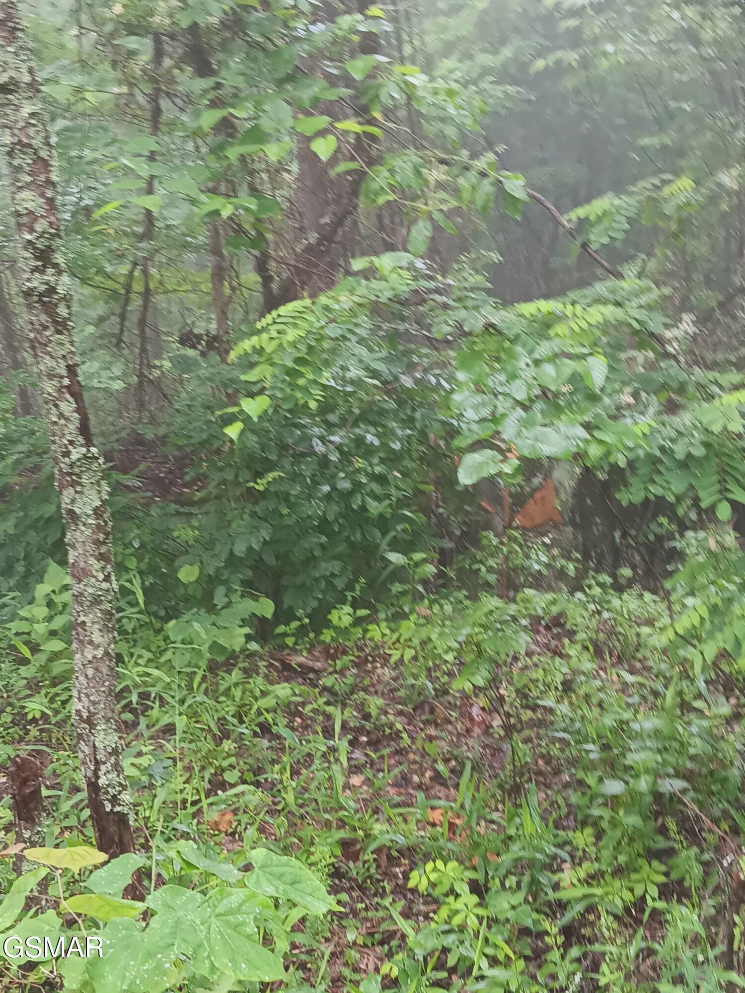 Tbd Highway 31 Mooresburg TN 37811