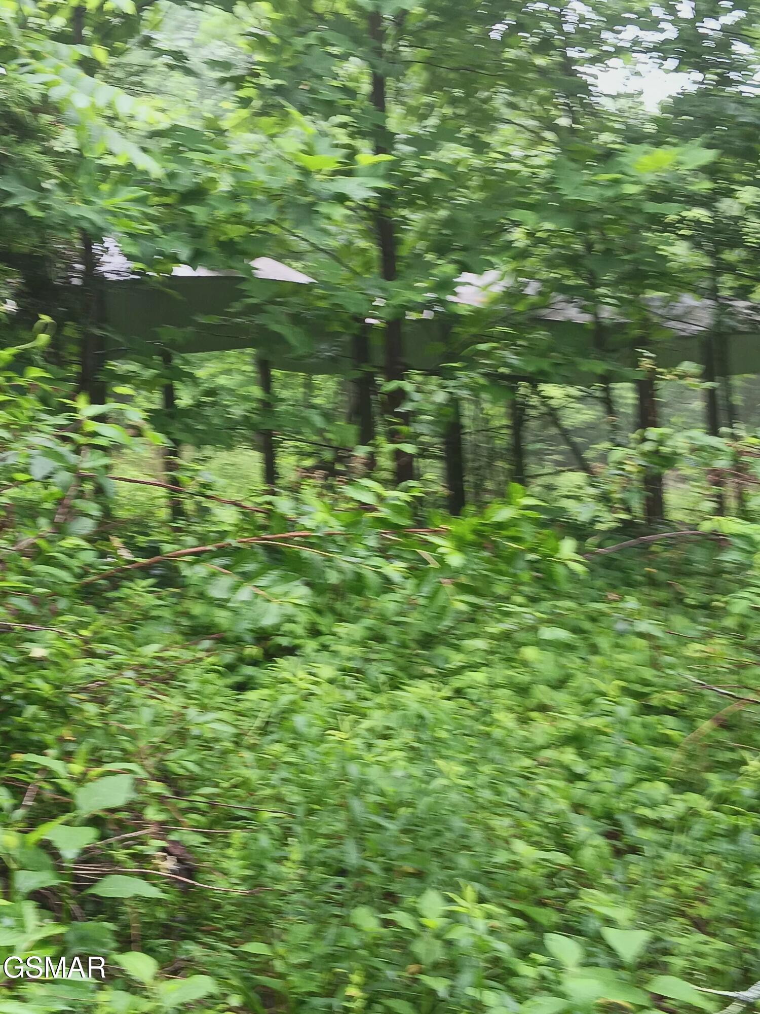 Tbd Highway 31 Mooresburg TN 37811