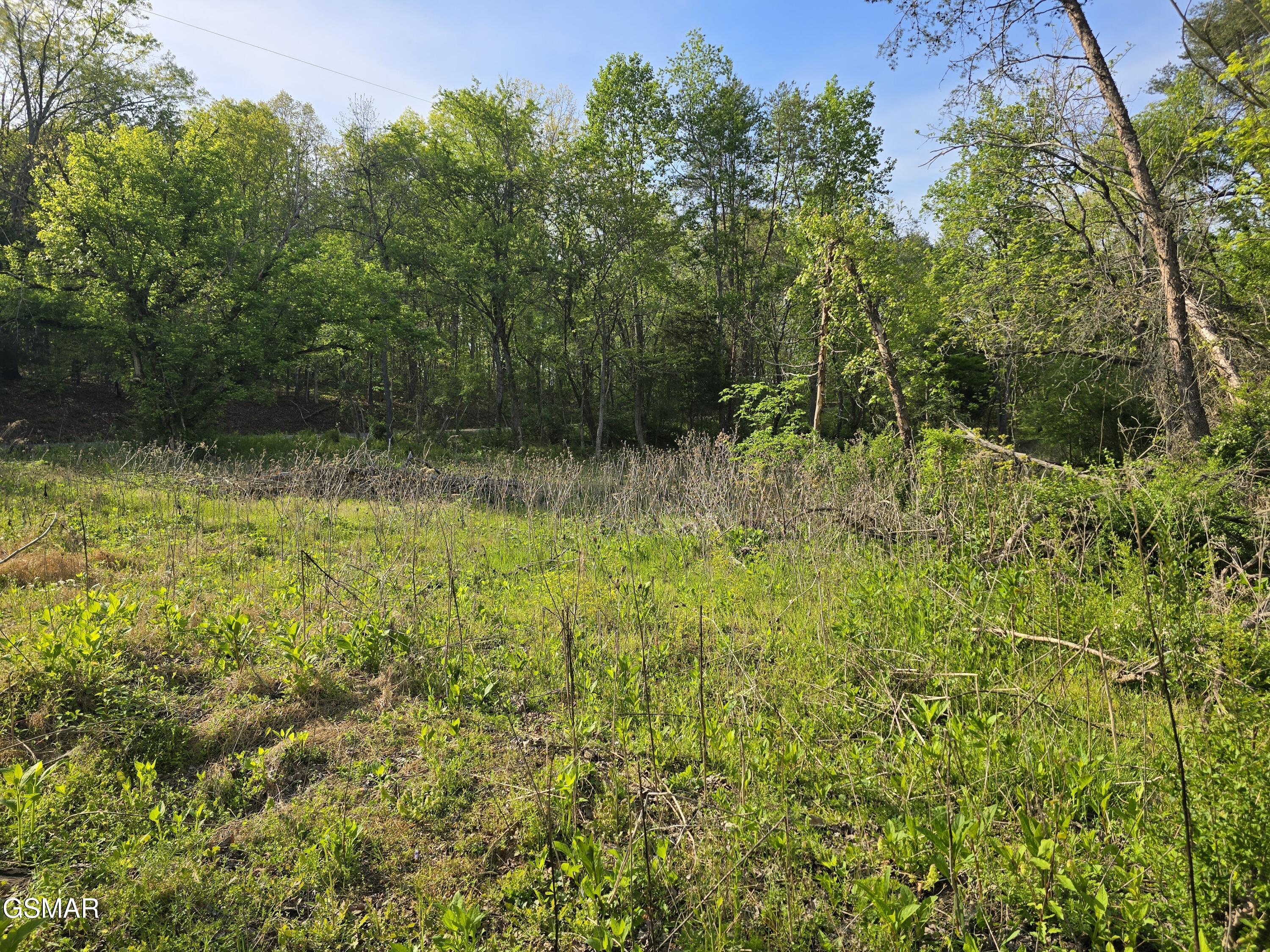 3697 Jackson Bend Road Lenoir City TN 37772