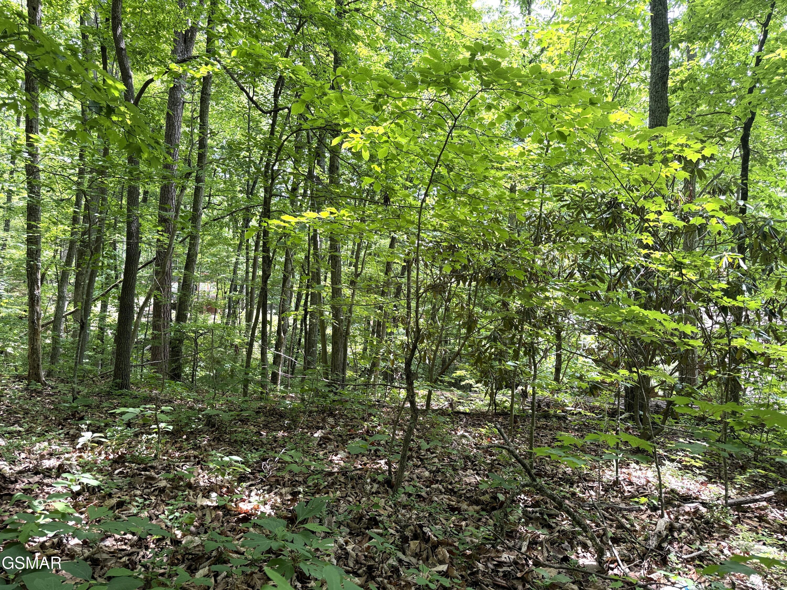 Lot 10 Swan Saddle Sevierville TN 37876