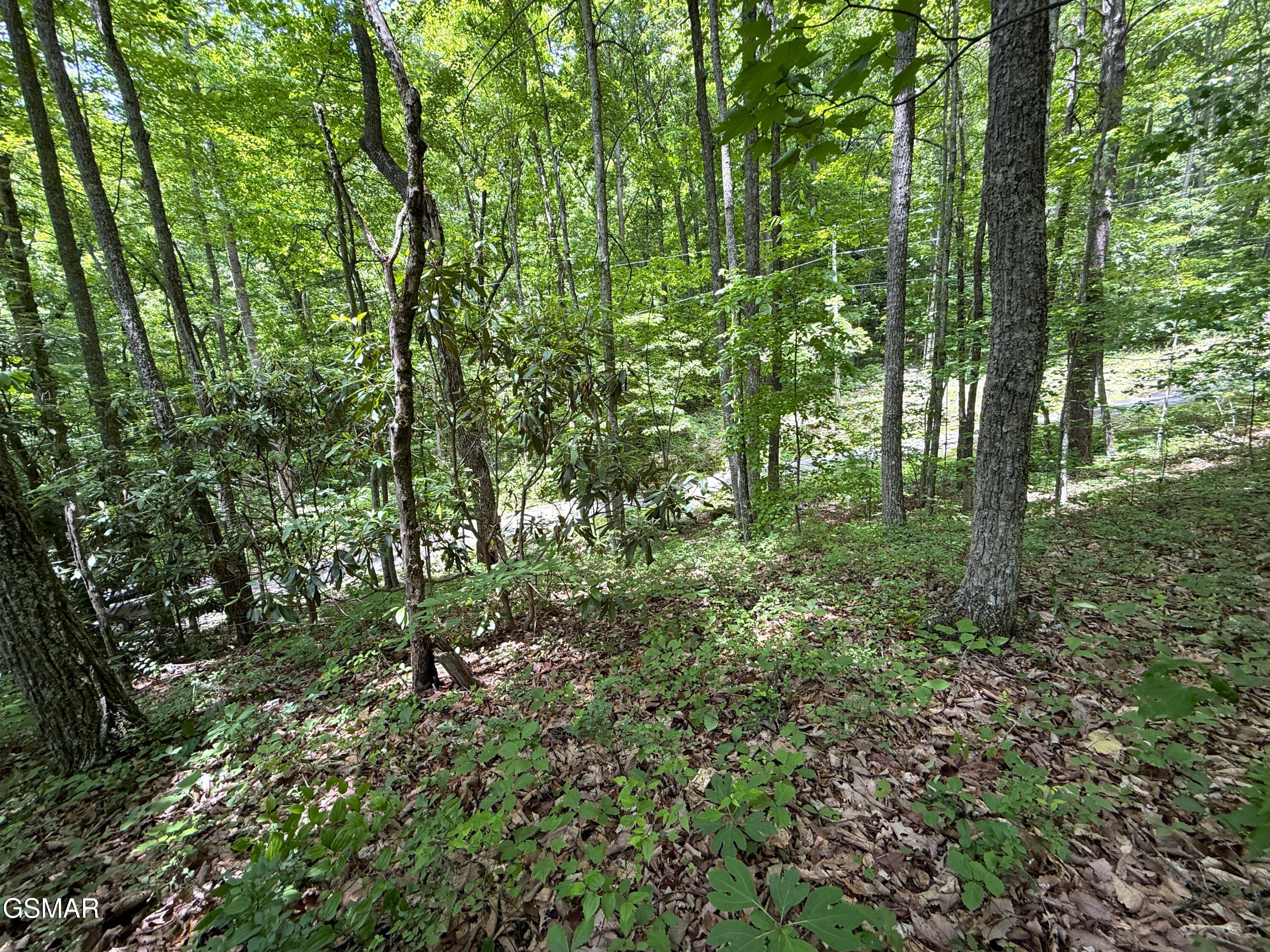 Lot 10 Swan Saddle Sevierville TN 37876