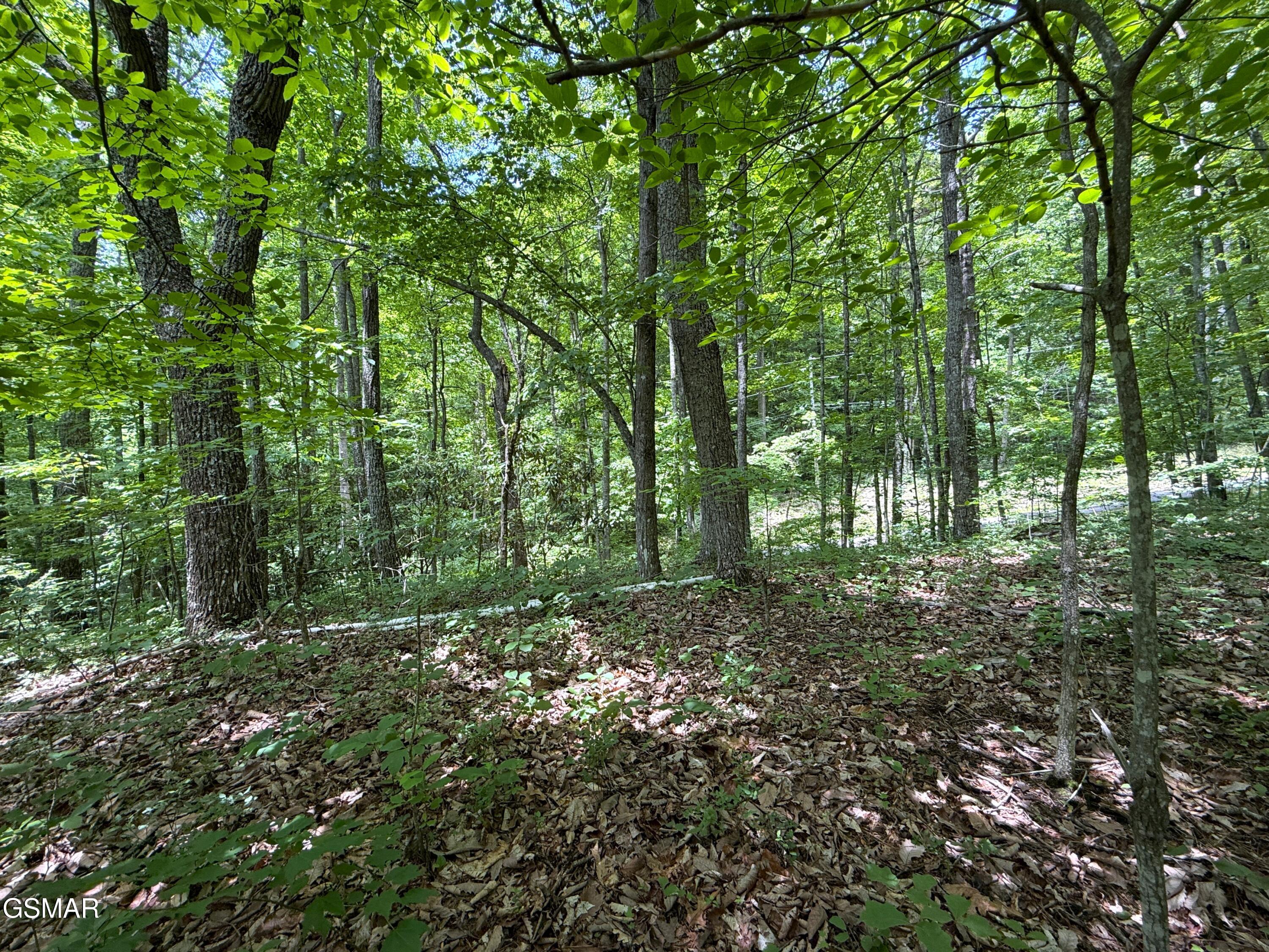 Lot 10 Swan Saddle Sevierville TN 37876