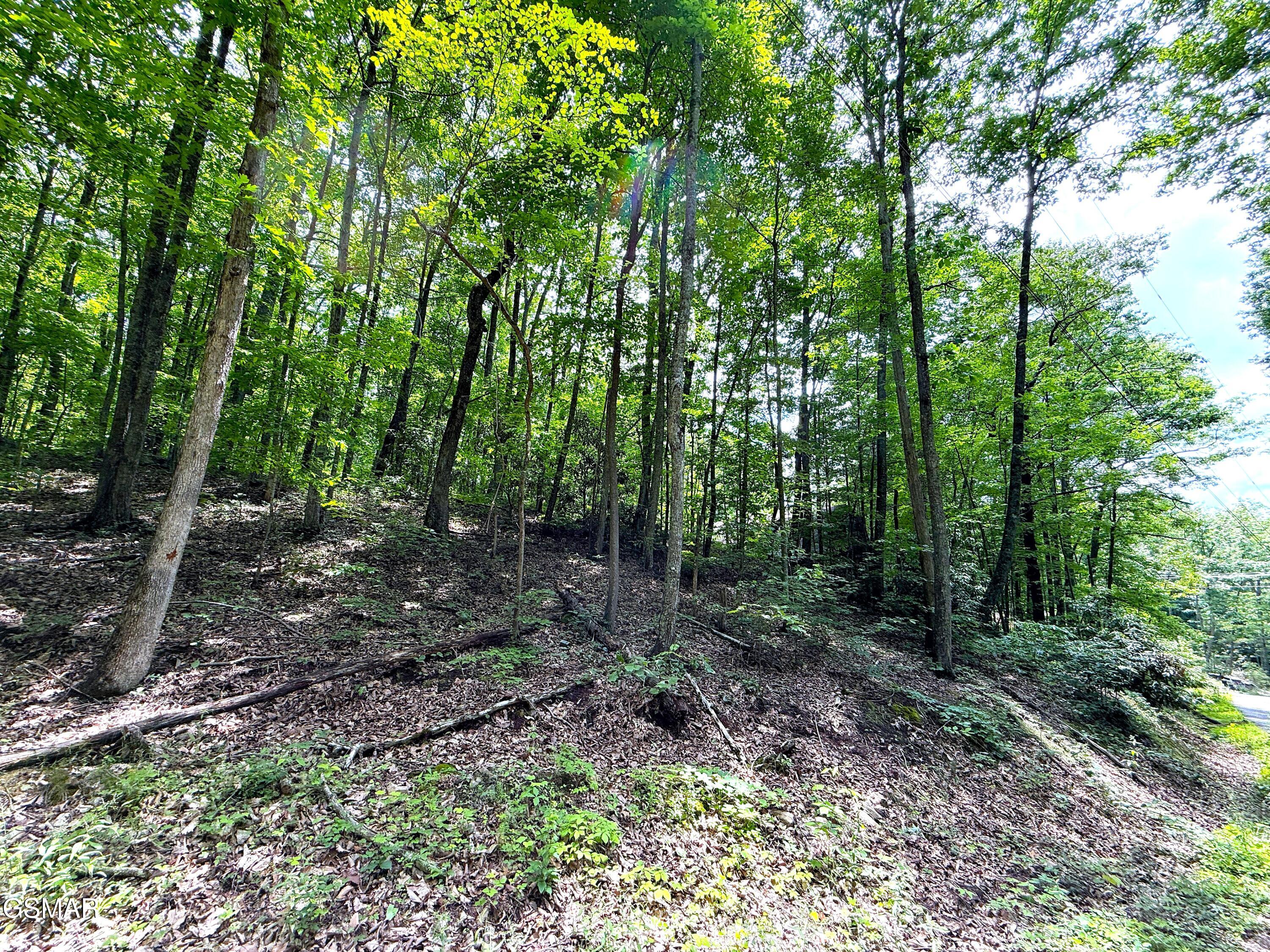 Lot 10 Swan Saddle Sevierville TN 37876