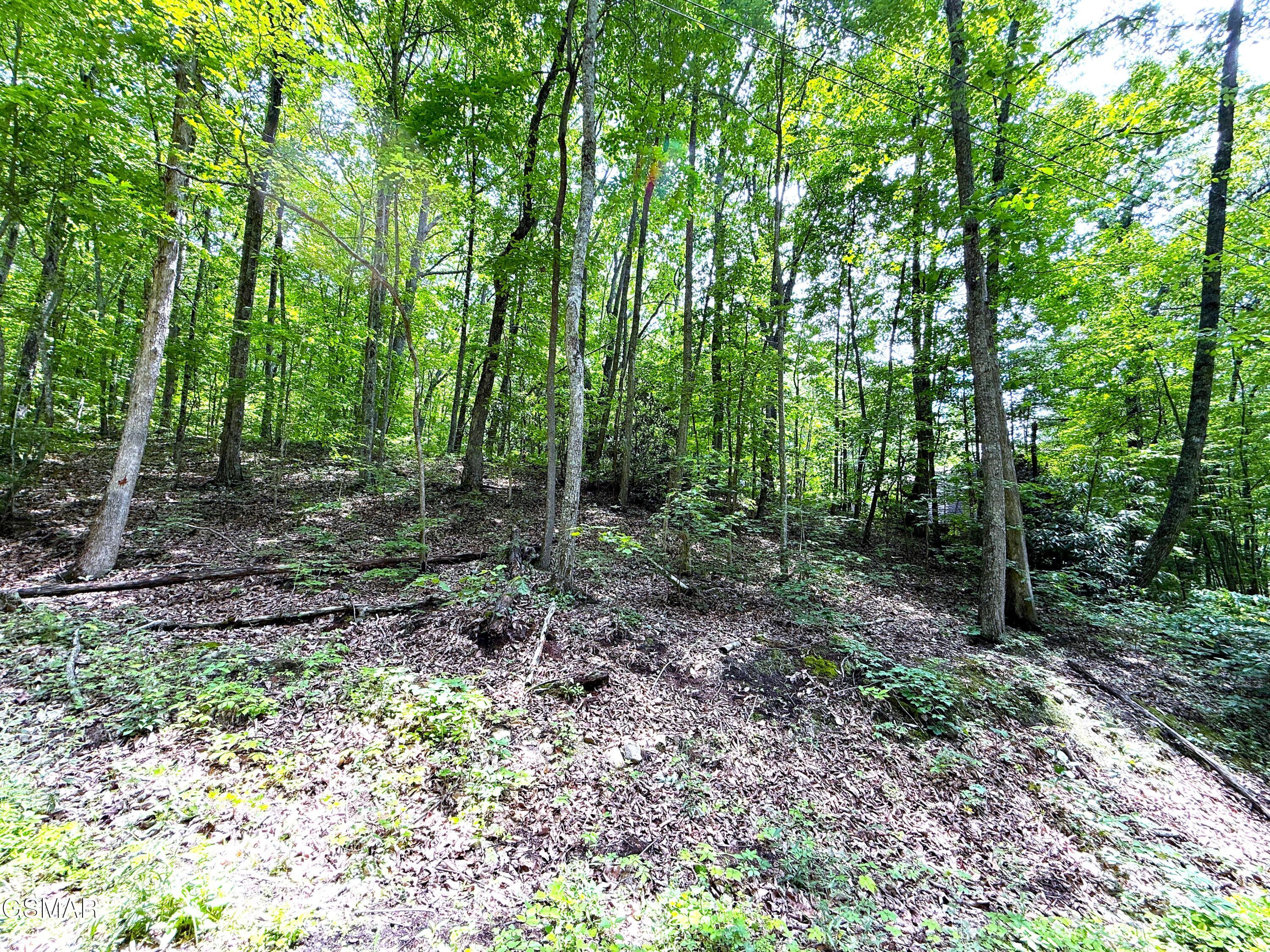 Lot 10 Swan Saddle Sevierville TN 37876