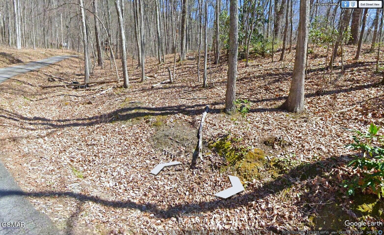 Lot 10 Swan Saddle Sevierville TN 37876