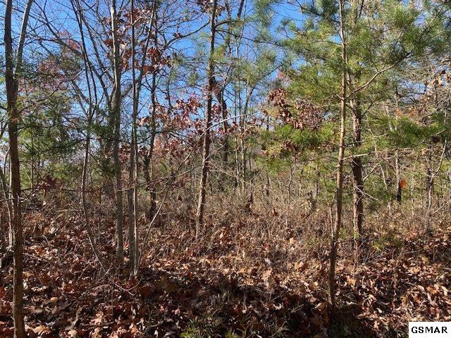 Lot 69 Poplar Place Sevierville TN 37876