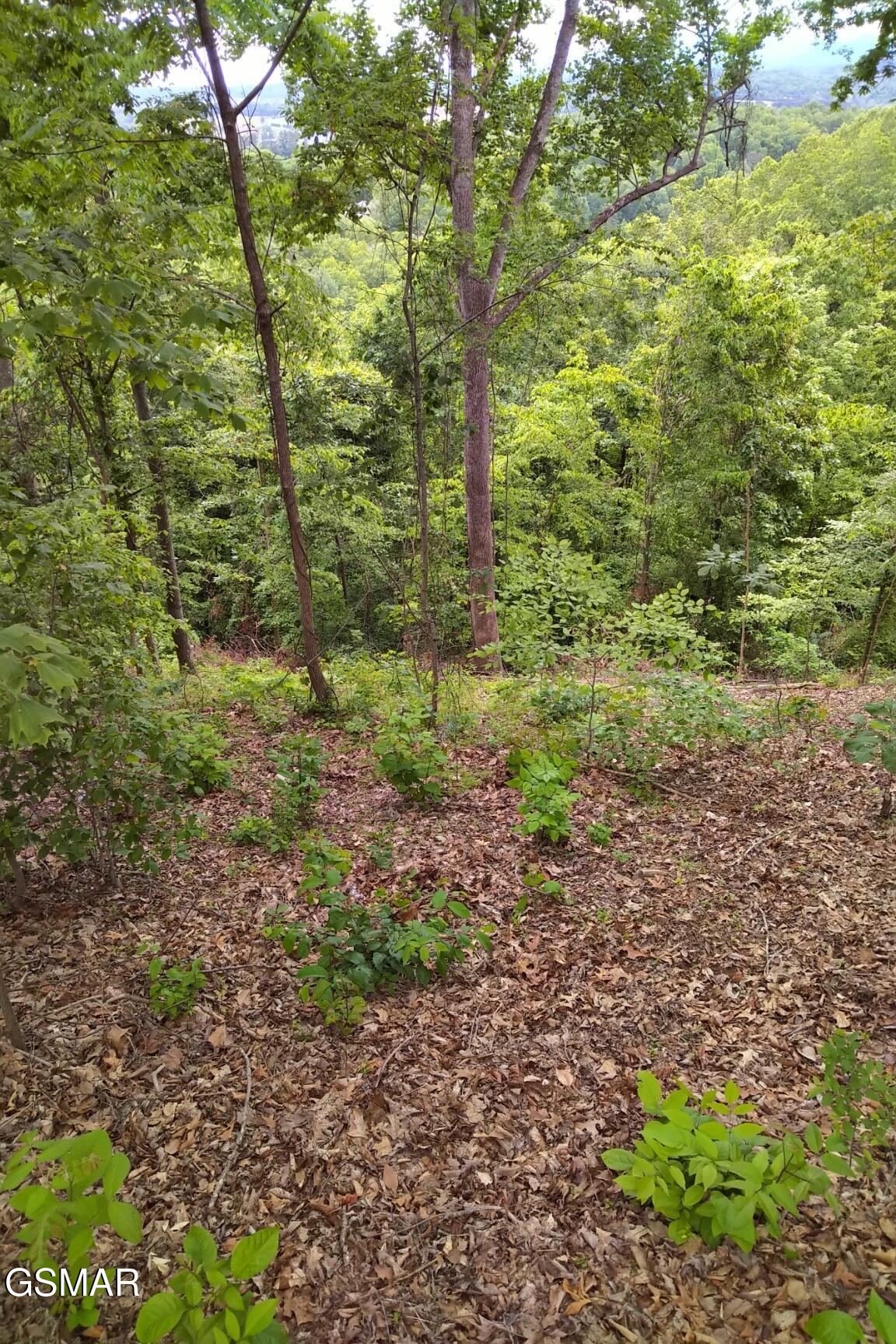 2019 Cluster Oak Way Sevierville TN 37876
