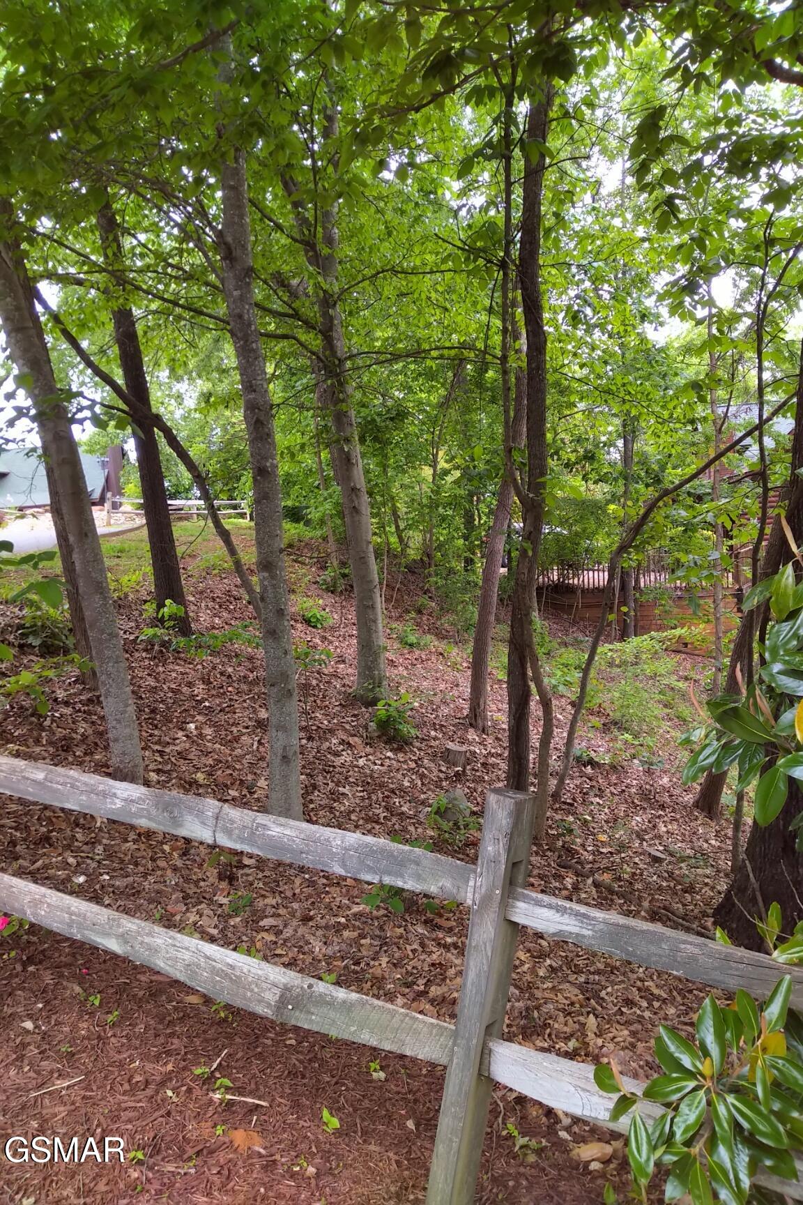 2019 Cluster Oak Way Sevierville TN 37876