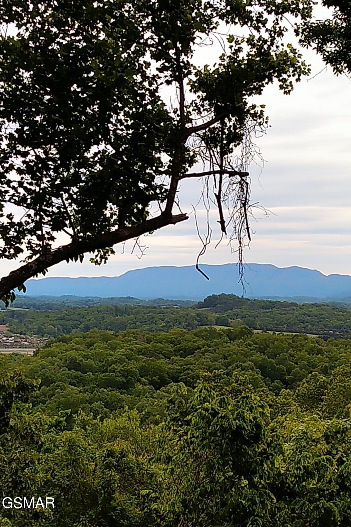 2019 Cluster Oak Way Sevierville TN 37876