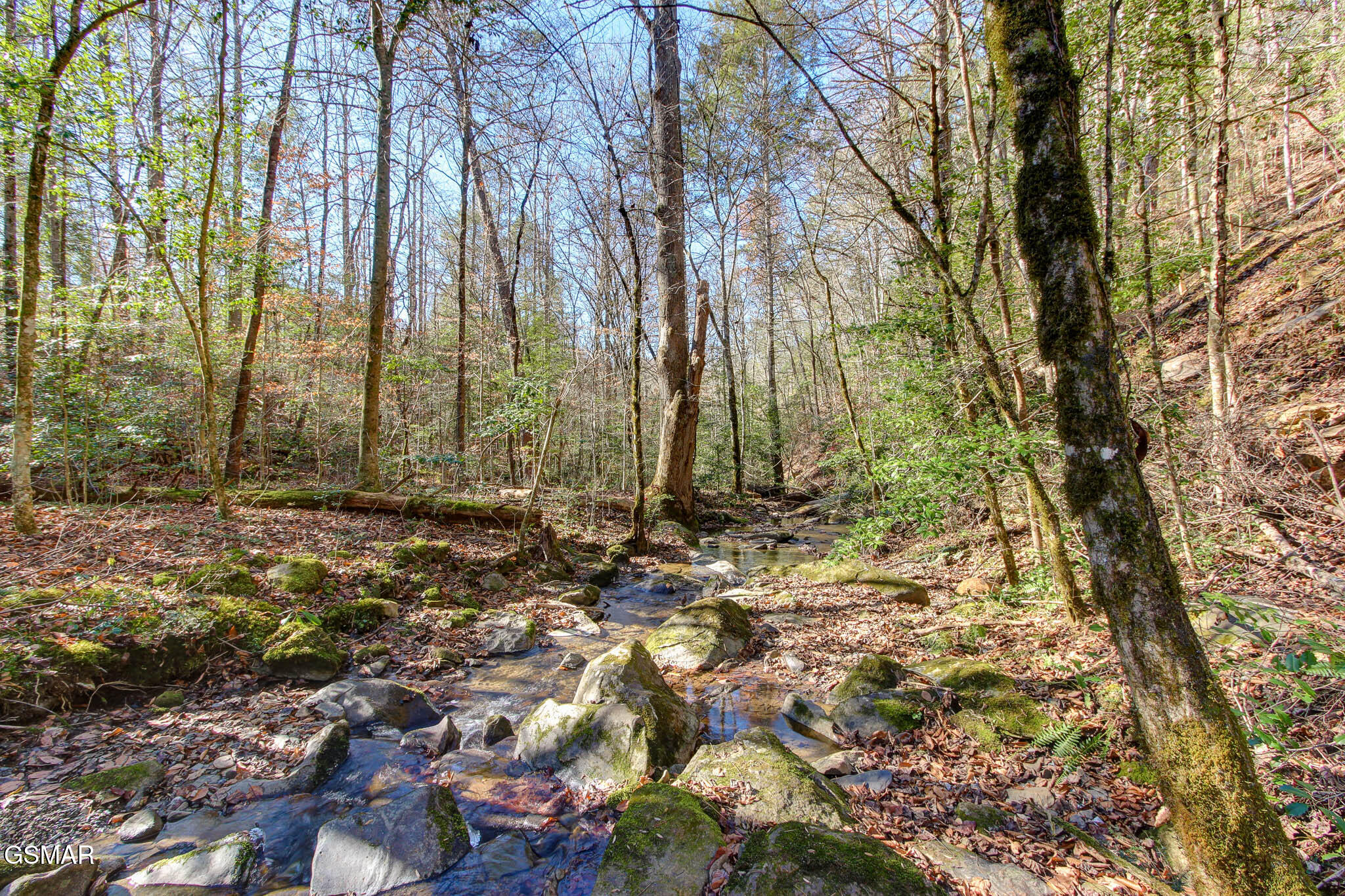910 Windy Hill Way Cosby TN 37722
