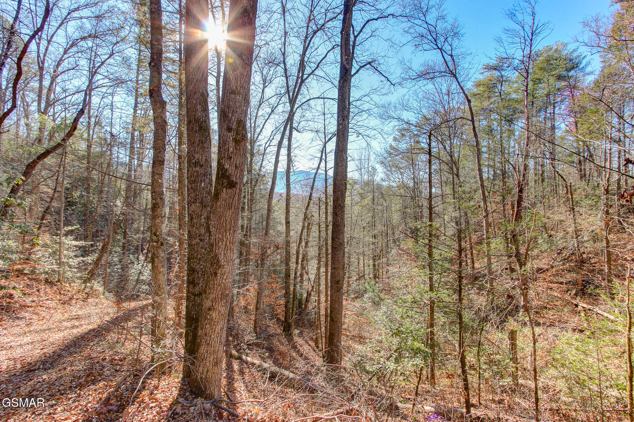 910 Windy Hill Way Cosby TN 37722