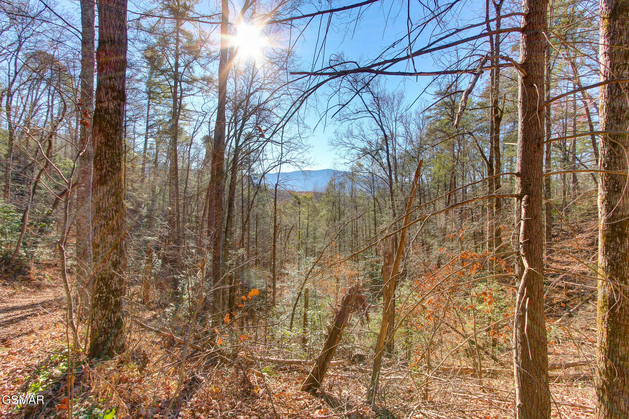 910 Windy Hill Way Cosby TN 37722