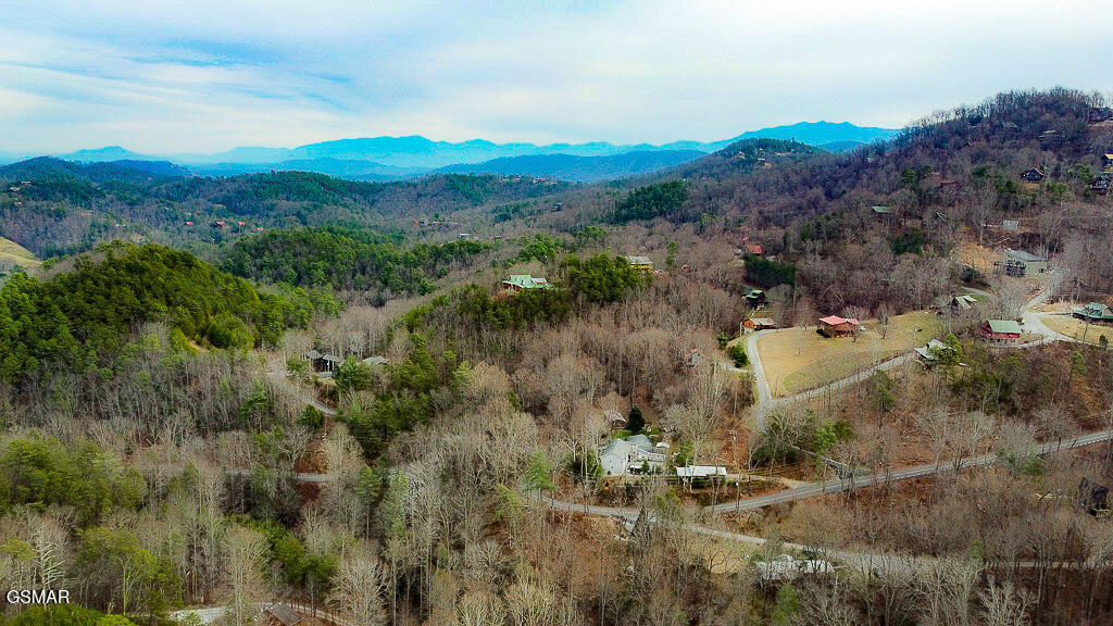 3143 Sourwood Way Sevierville TN 37862