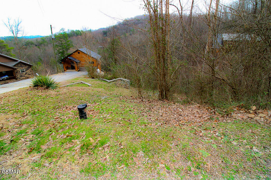 3143 Sourwood Way Sevierville TN 37862