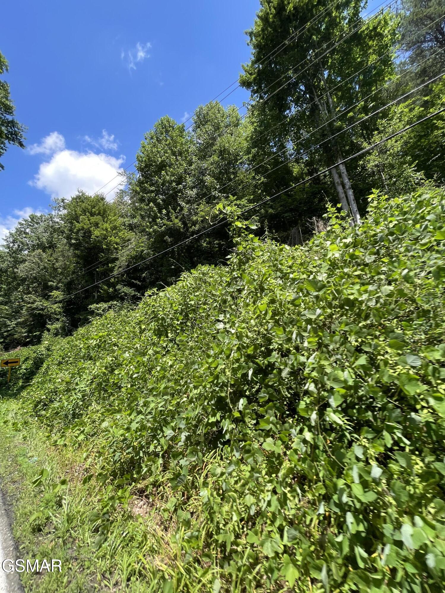 1 Pittman Center Road Sevierville TN 37876