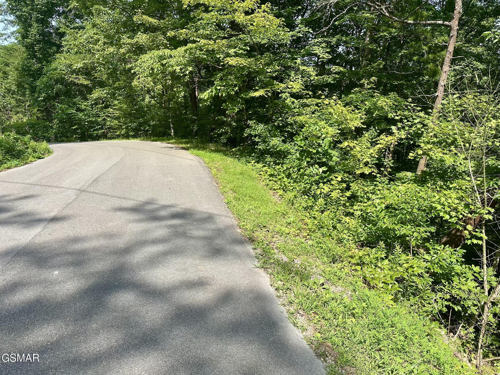 0 Dogwood Drive Sevierville TN 37876