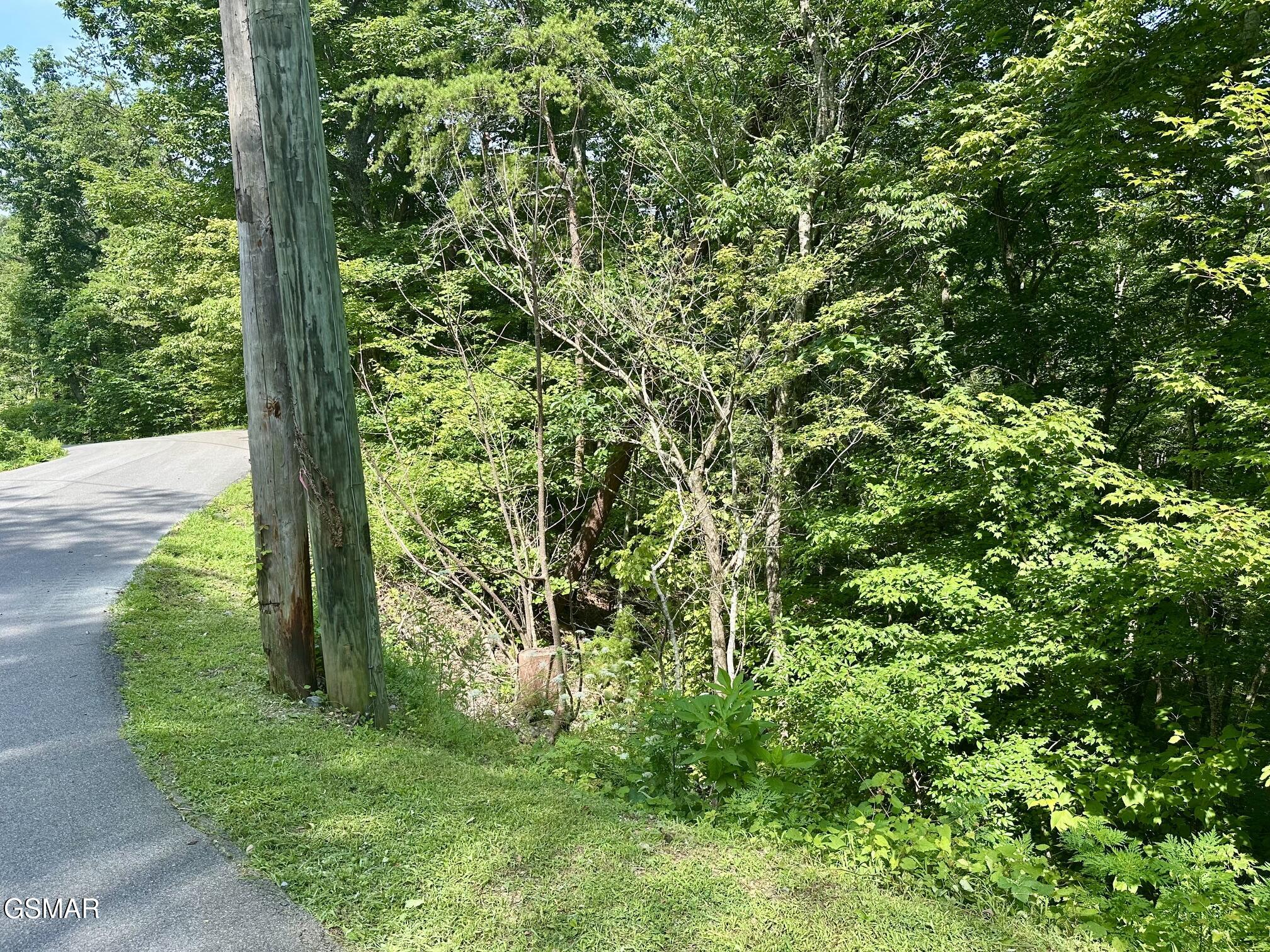 0 Dogwood Drive Sevierville TN 37876