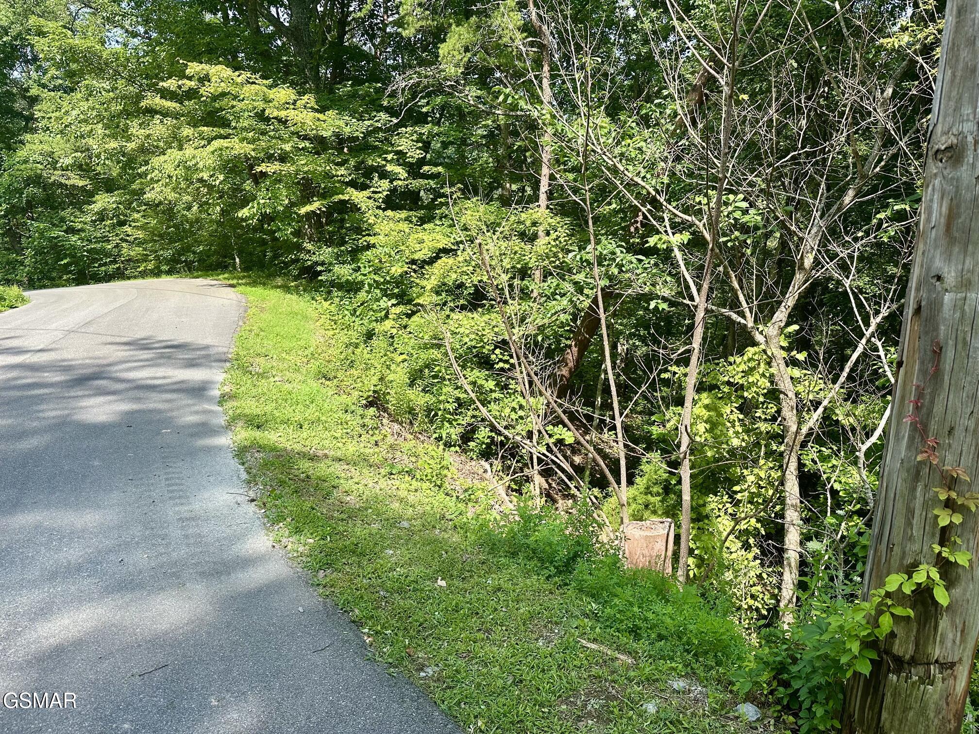 0 Dogwood Drive Sevierville TN 37876