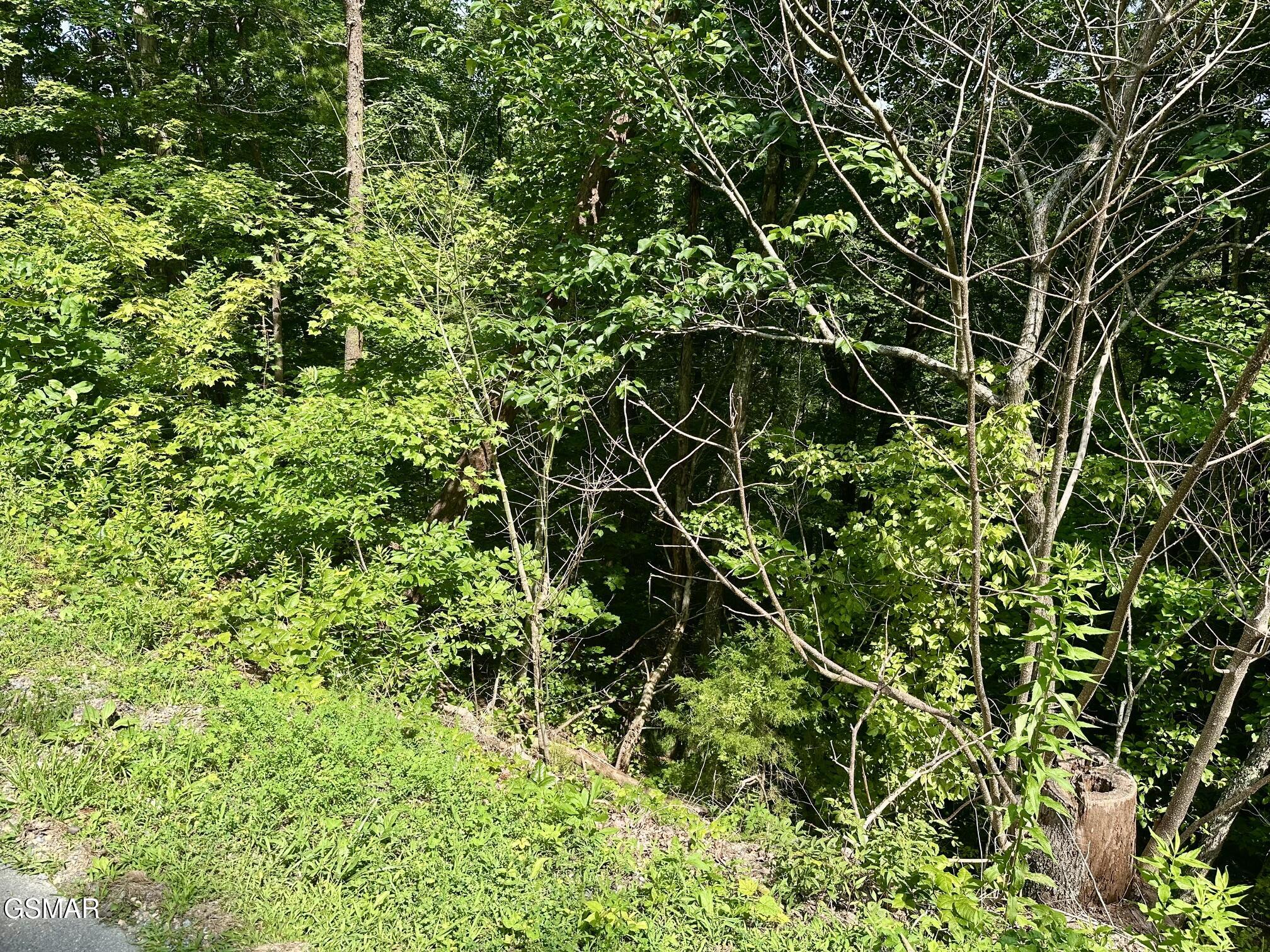 0 Dogwood Drive Sevierville TN 37876