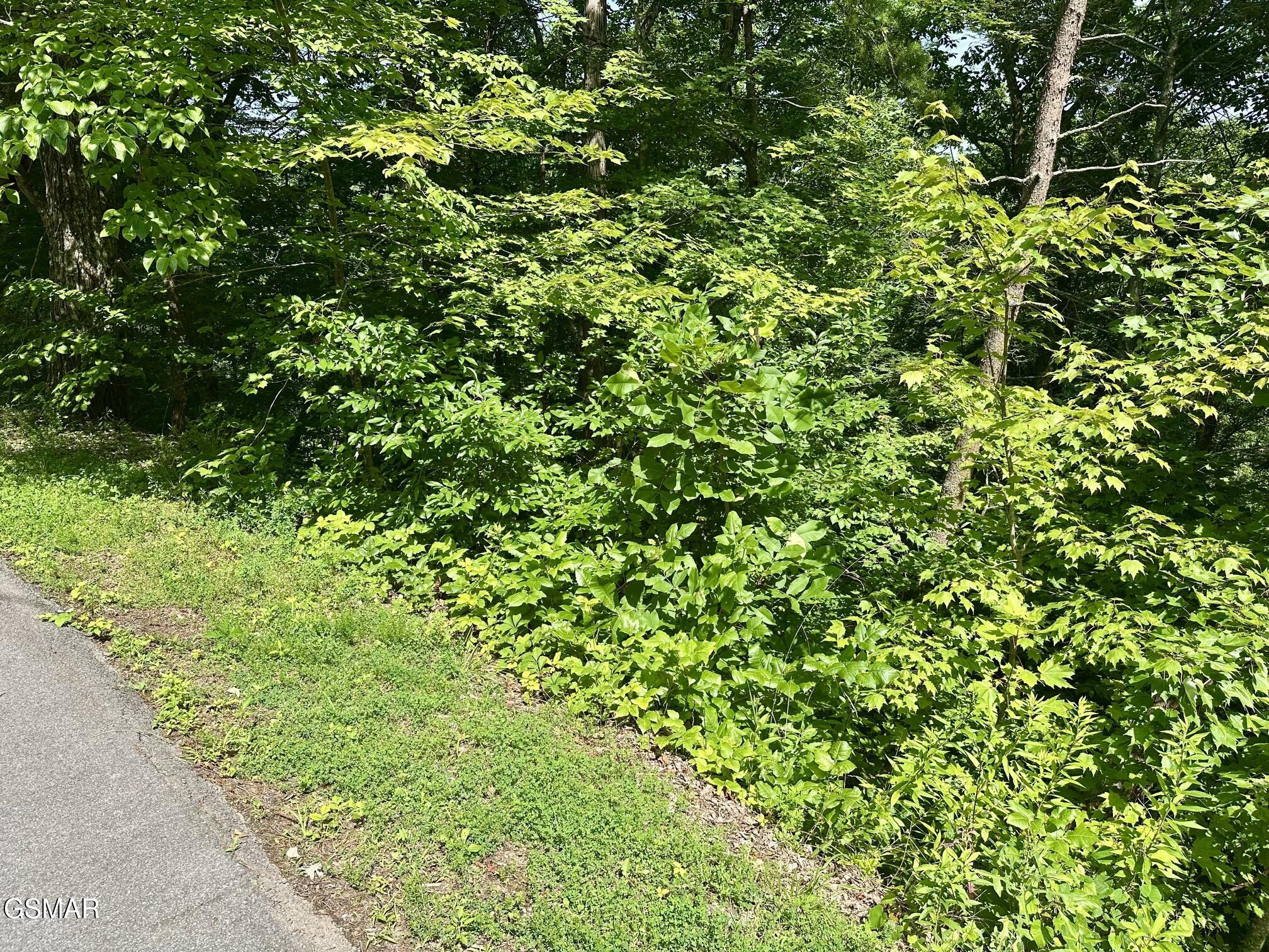0 Dogwood Drive Sevierville TN 37876
