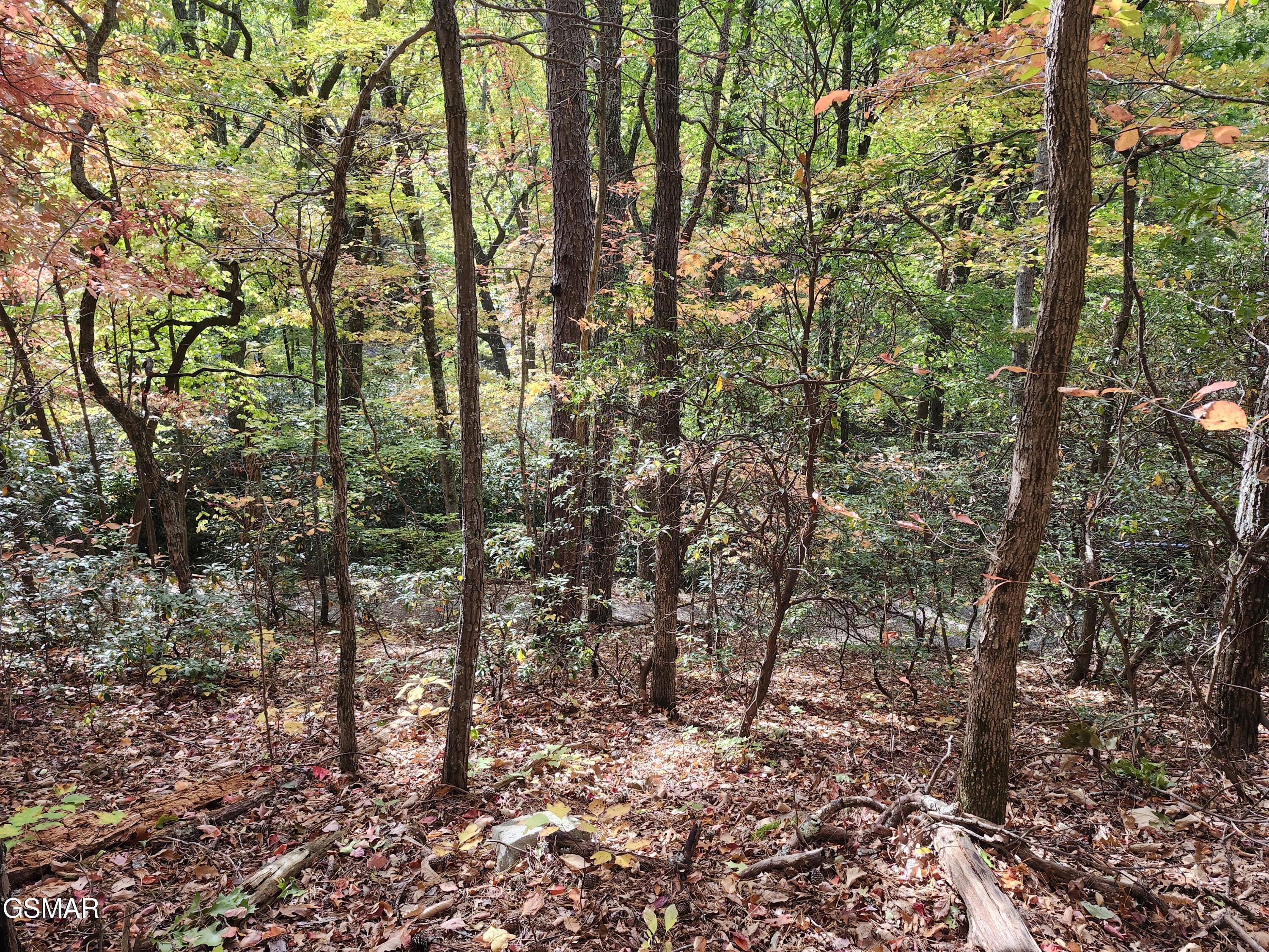 Lot 11 Bluff Mountain Road Sevierville TN 37876