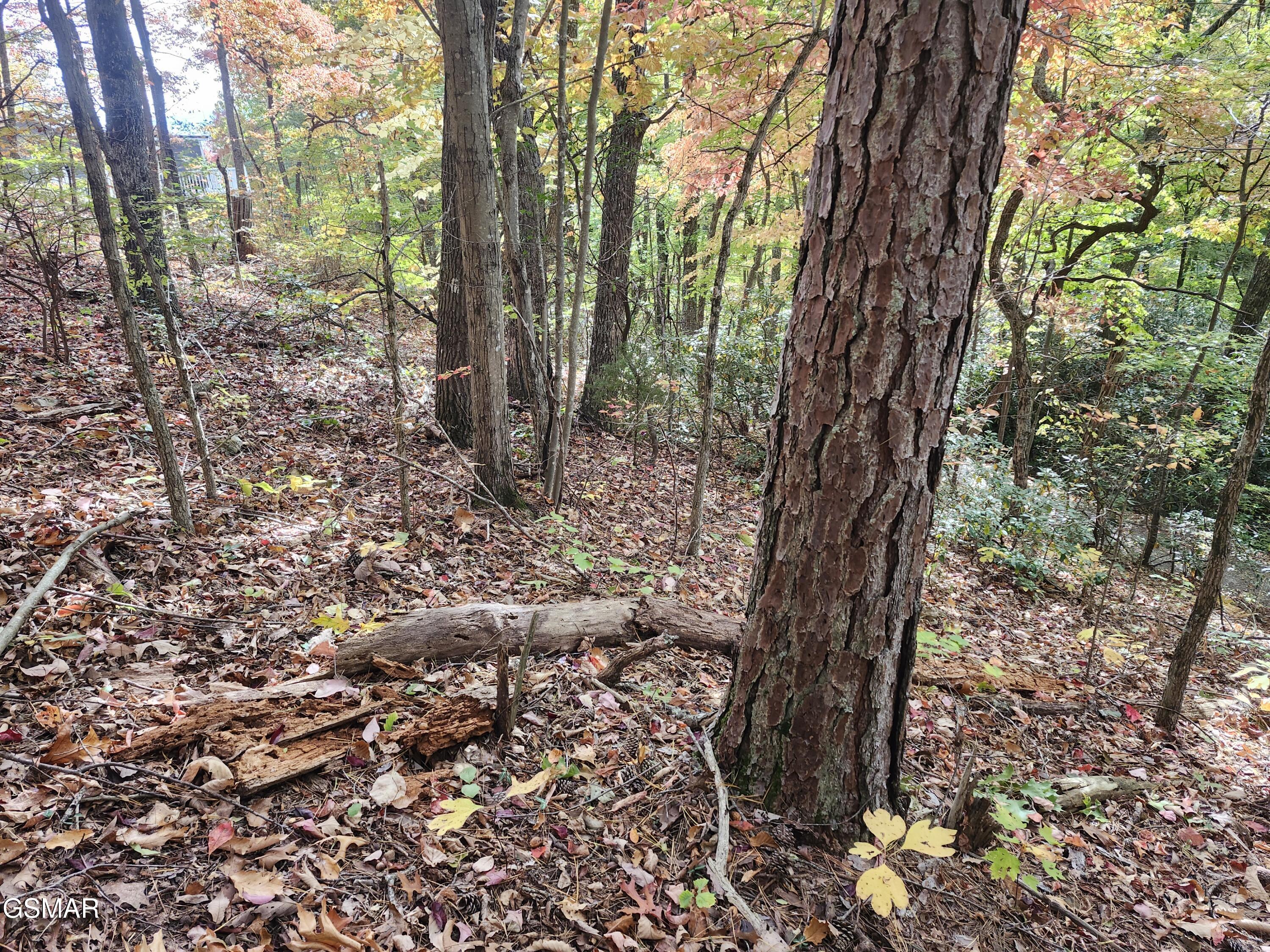 Lot 11 Bluff Mountain Road Sevierville TN 37876