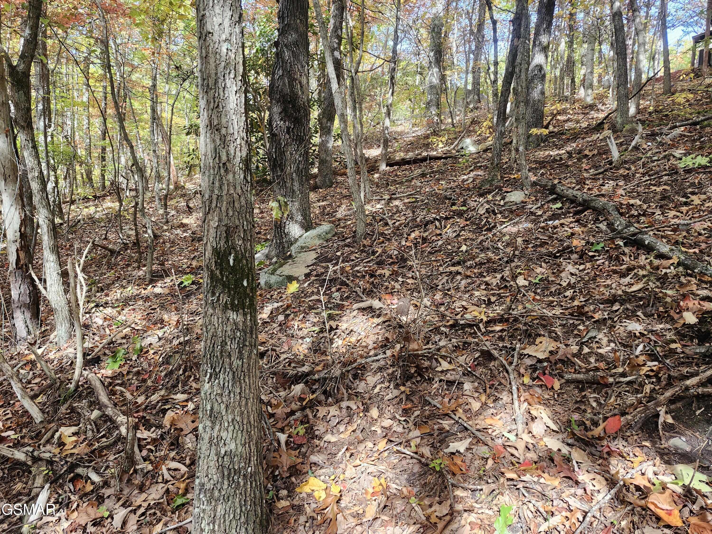 Lot 11 Bluff Mountain Road Sevierville TN 37876