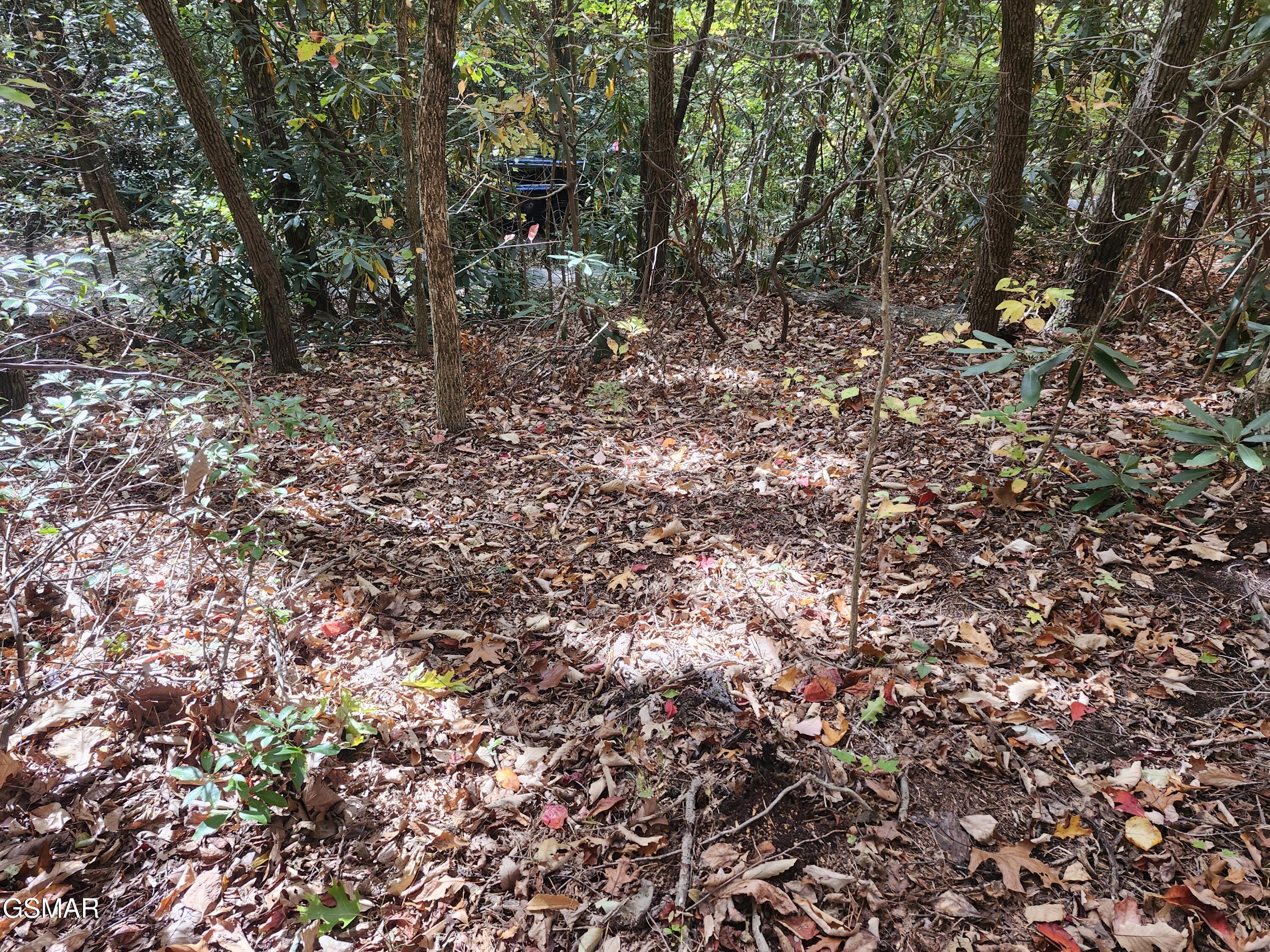 Lot 11 Bluff Mountain Road Sevierville TN 37876