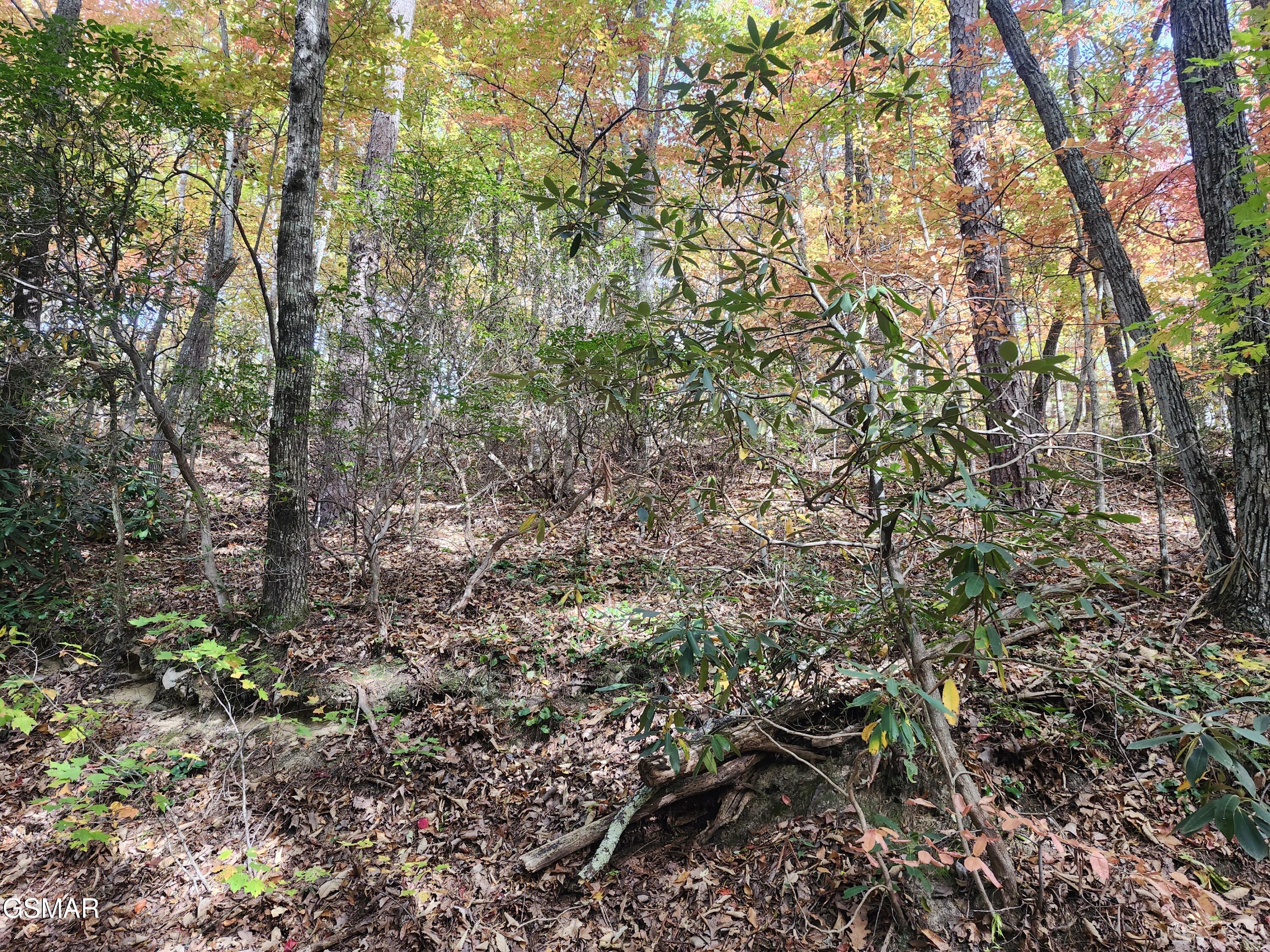 Lot 11 Bluff Mountain Road Sevierville TN 37876